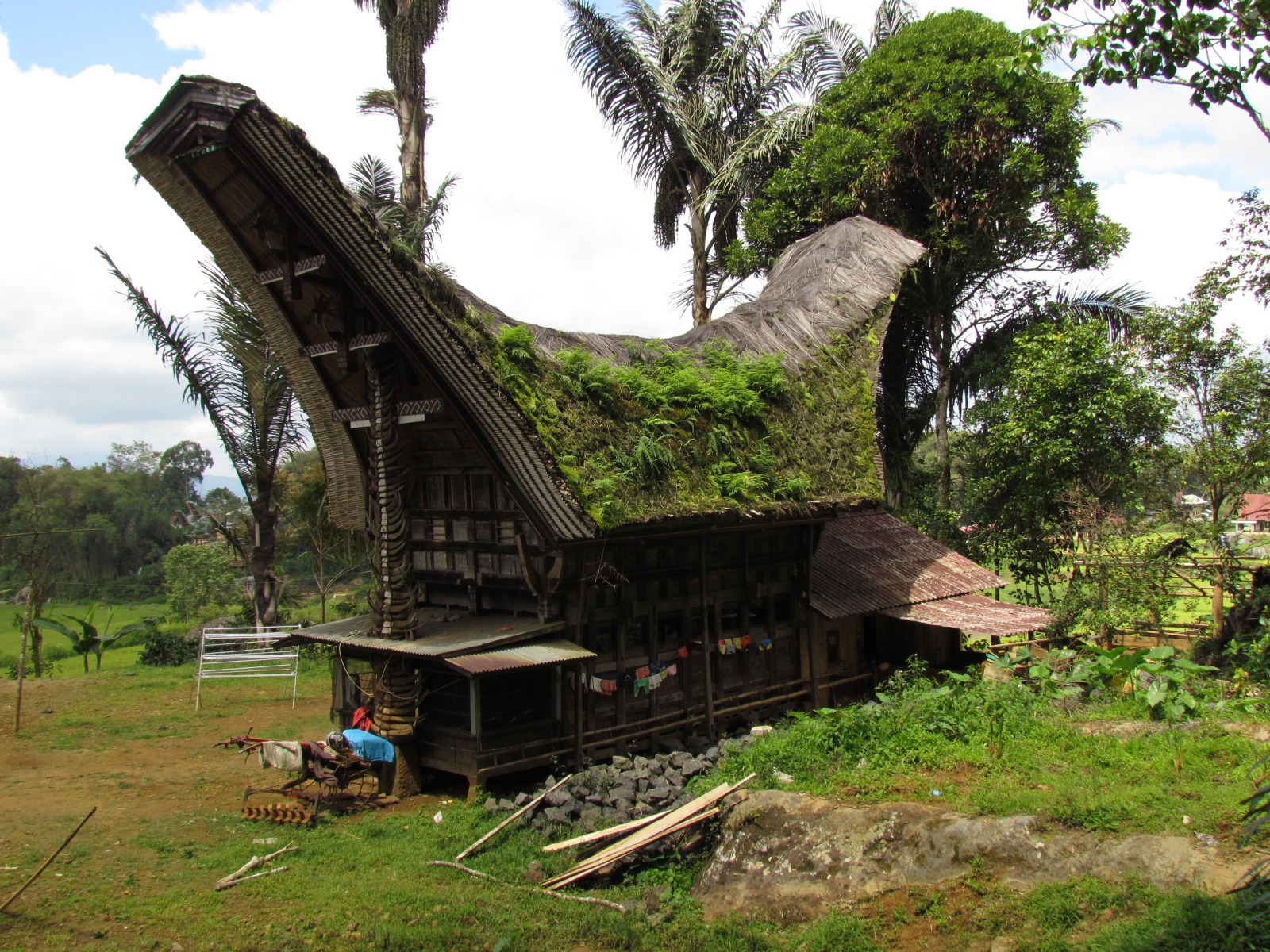 Toraja - Tongkonan