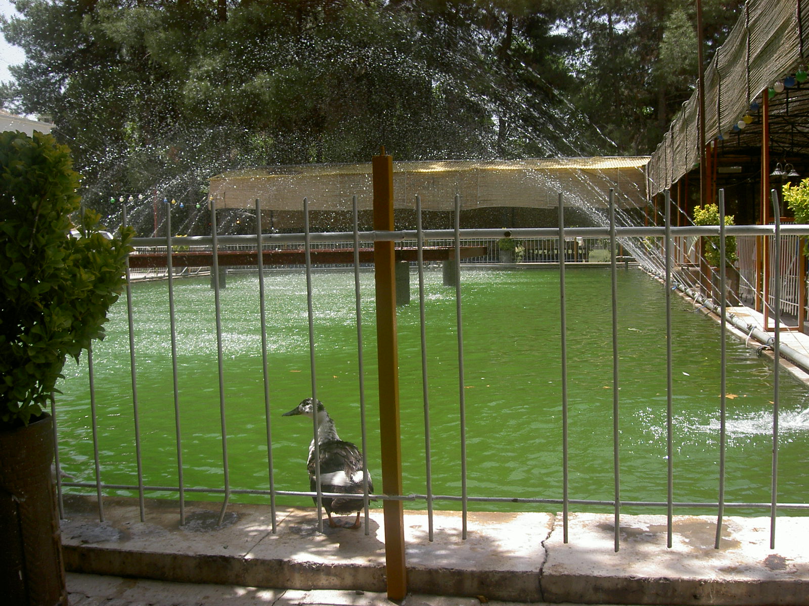 Restaurant near Persepolis