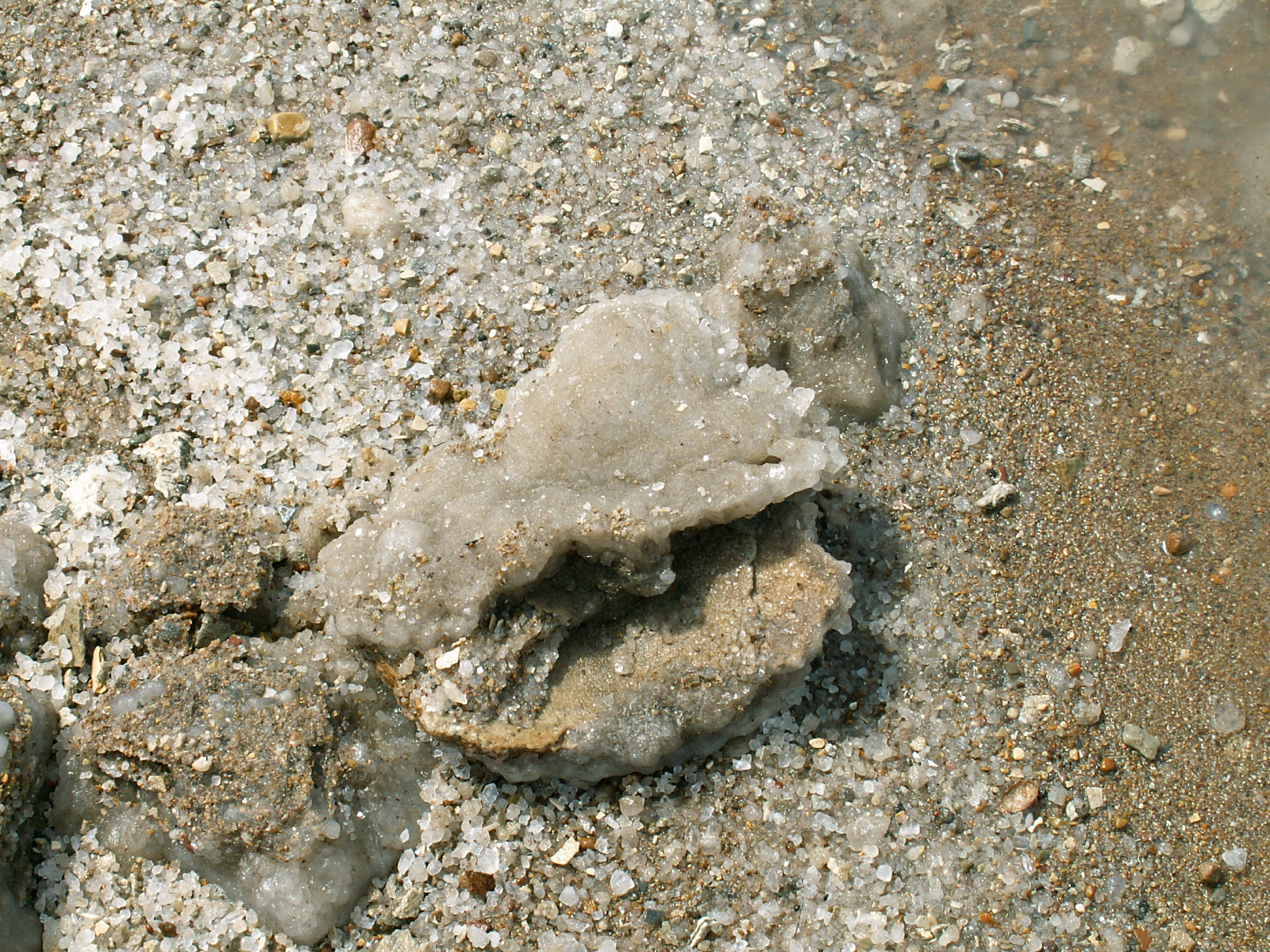 Dead sea - Salt crystals