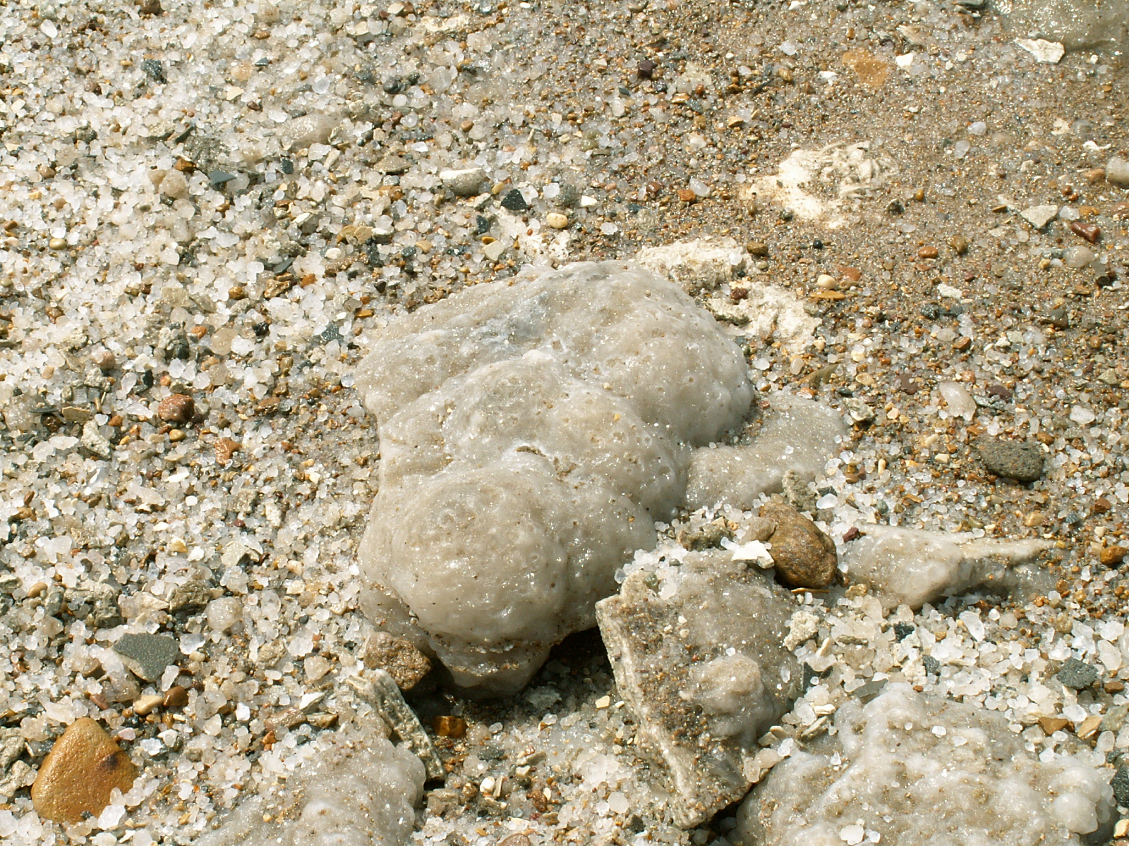 Dead sea - Salt crystals