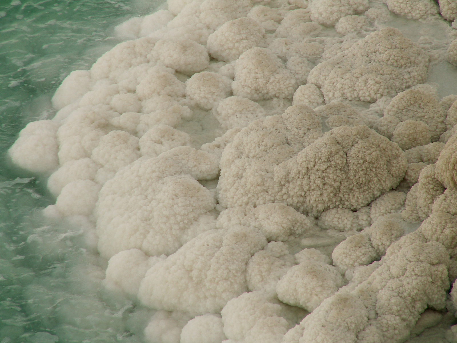 Dead sea - Salt crystals