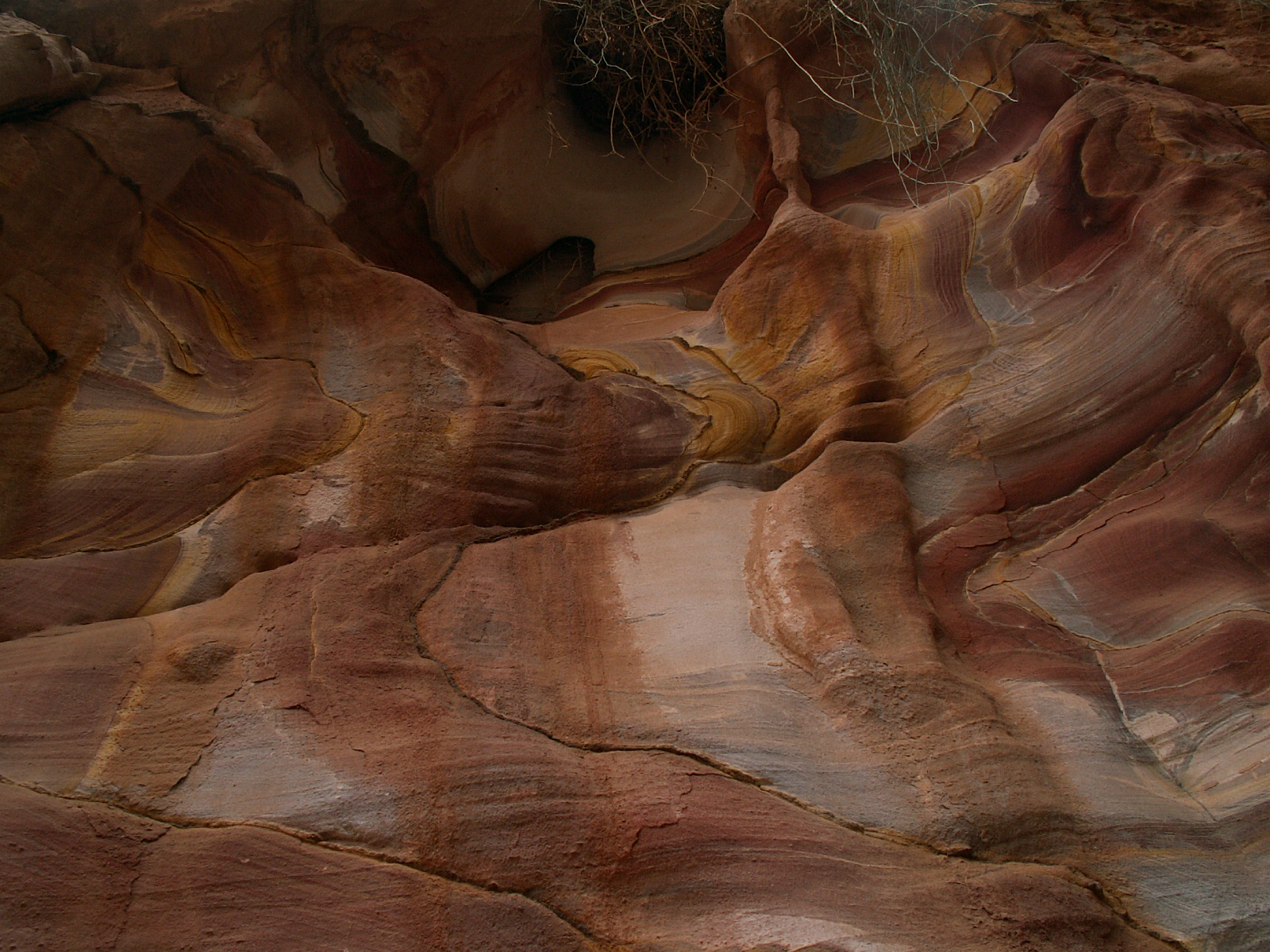 Petra