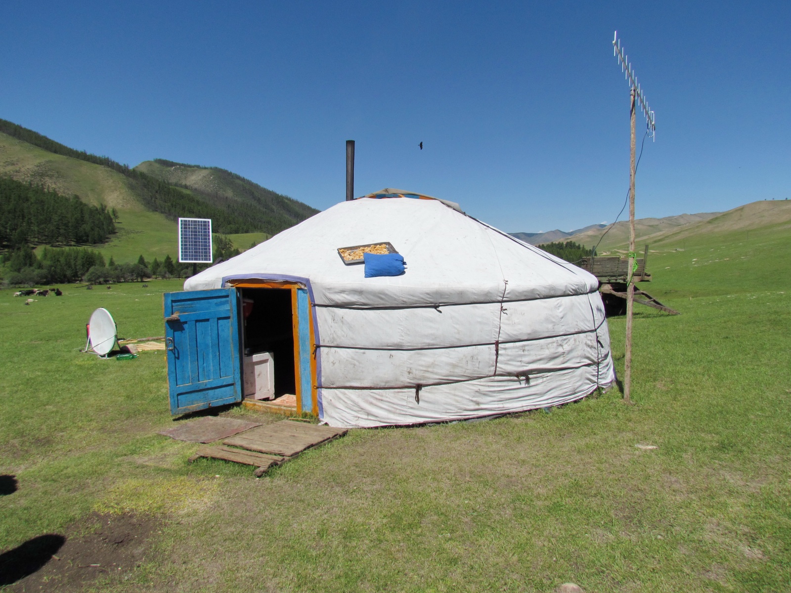 Near Jargalant - Nomad ger
