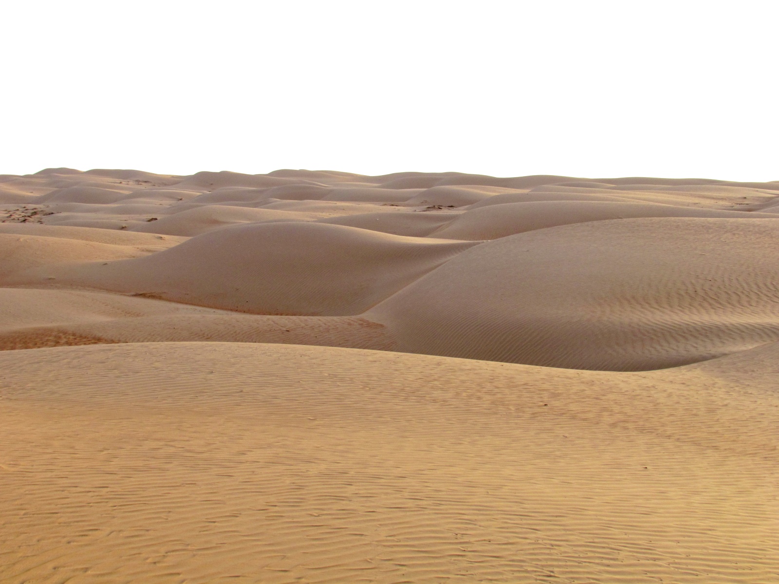 Wahiba Sands desert
