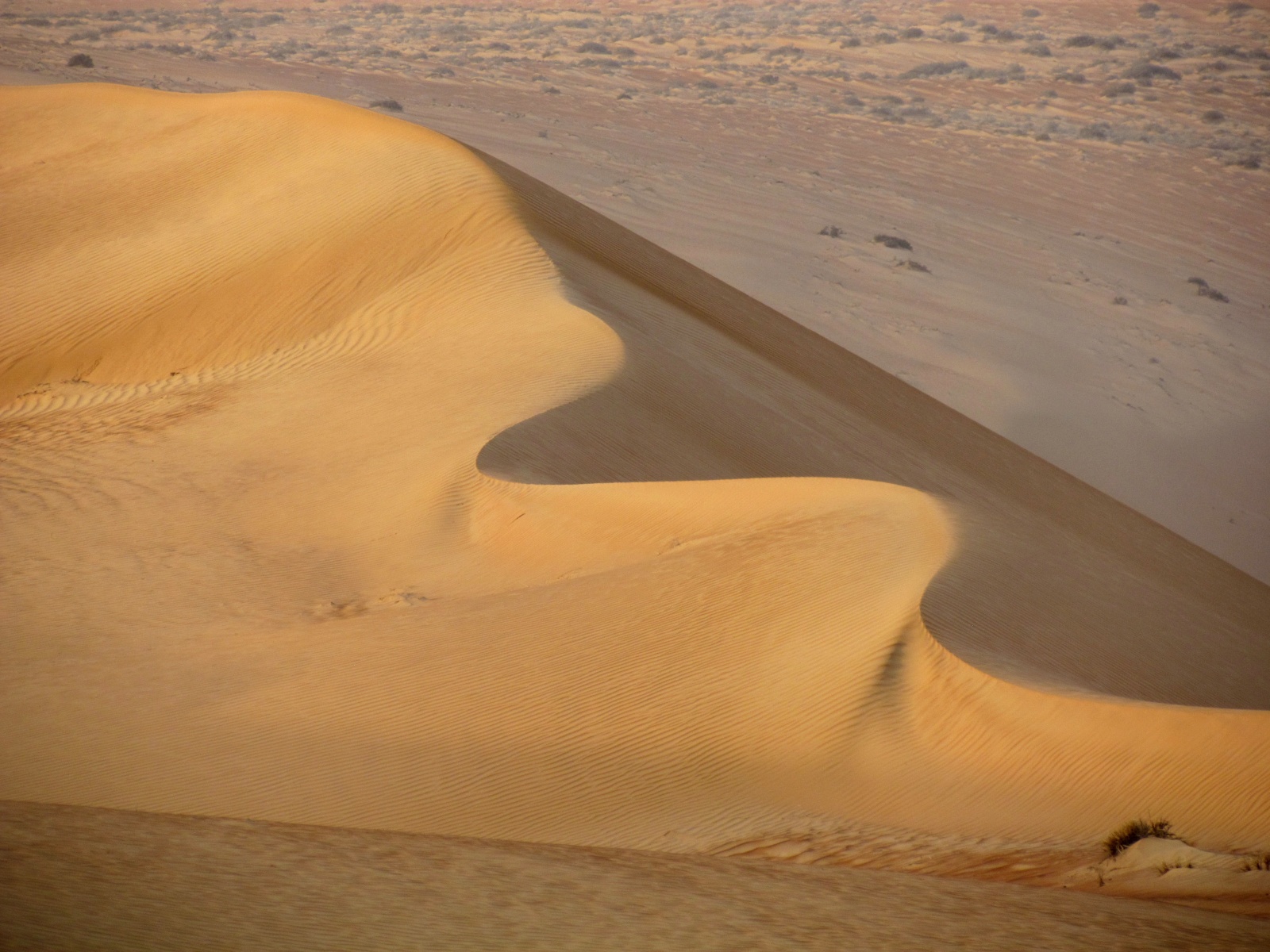 Wahiba Sands desert