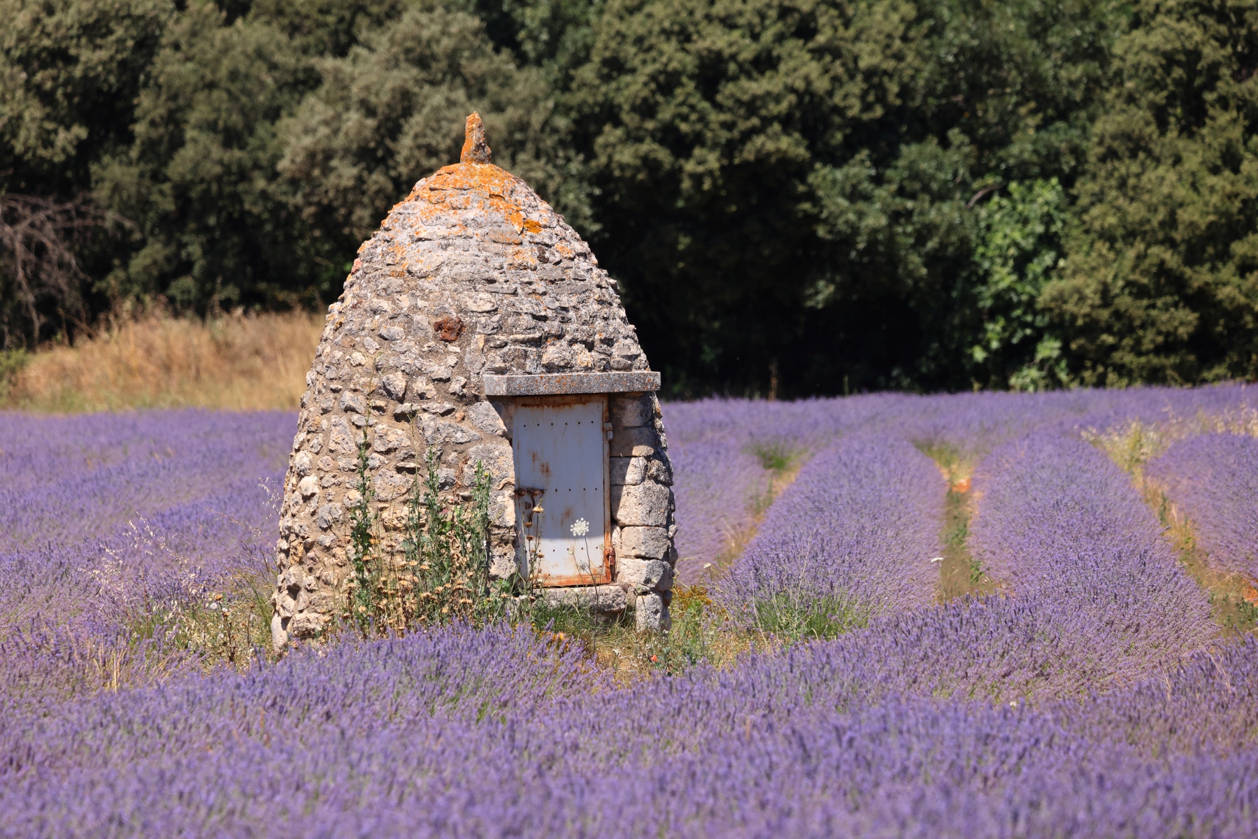 Near Pont Julien - Storage