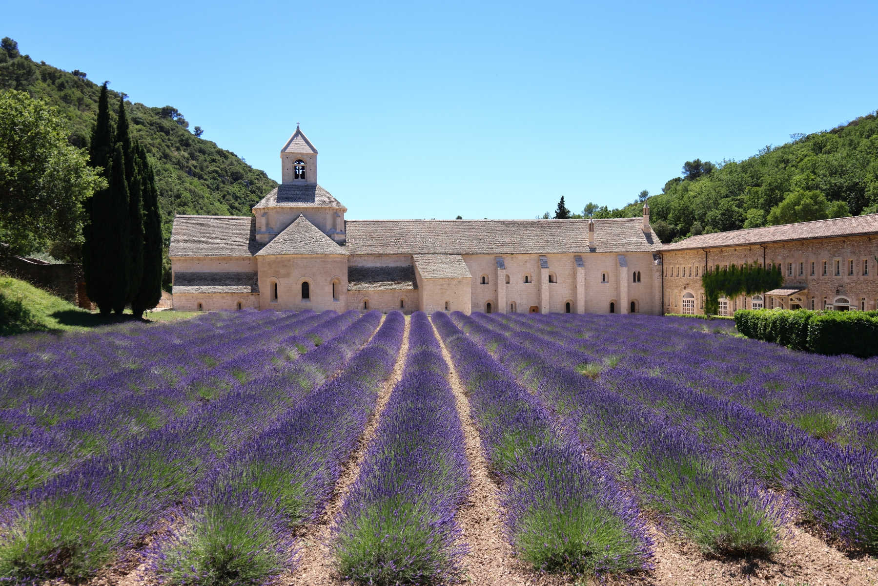 Abbaye Notre-Dame de Senanque