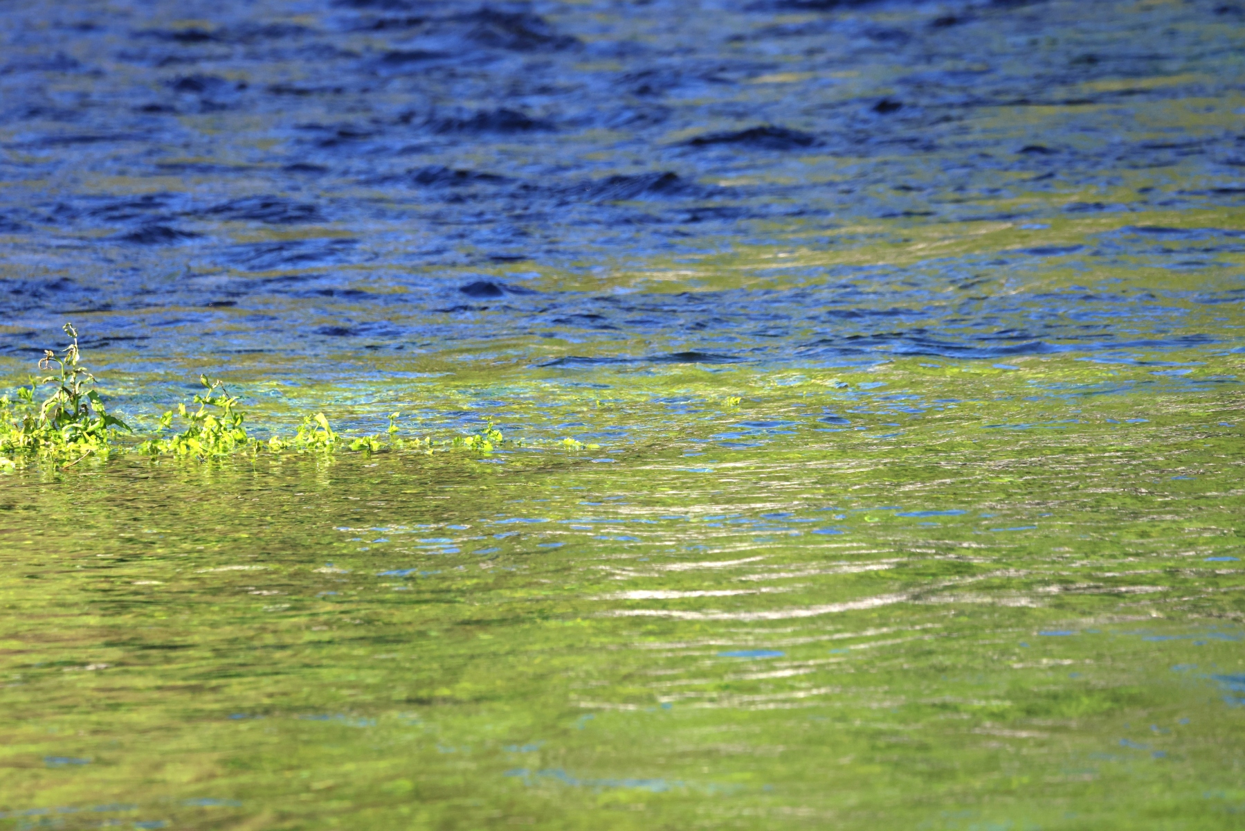 Fontaine de Vaucluse - La Sorgue river