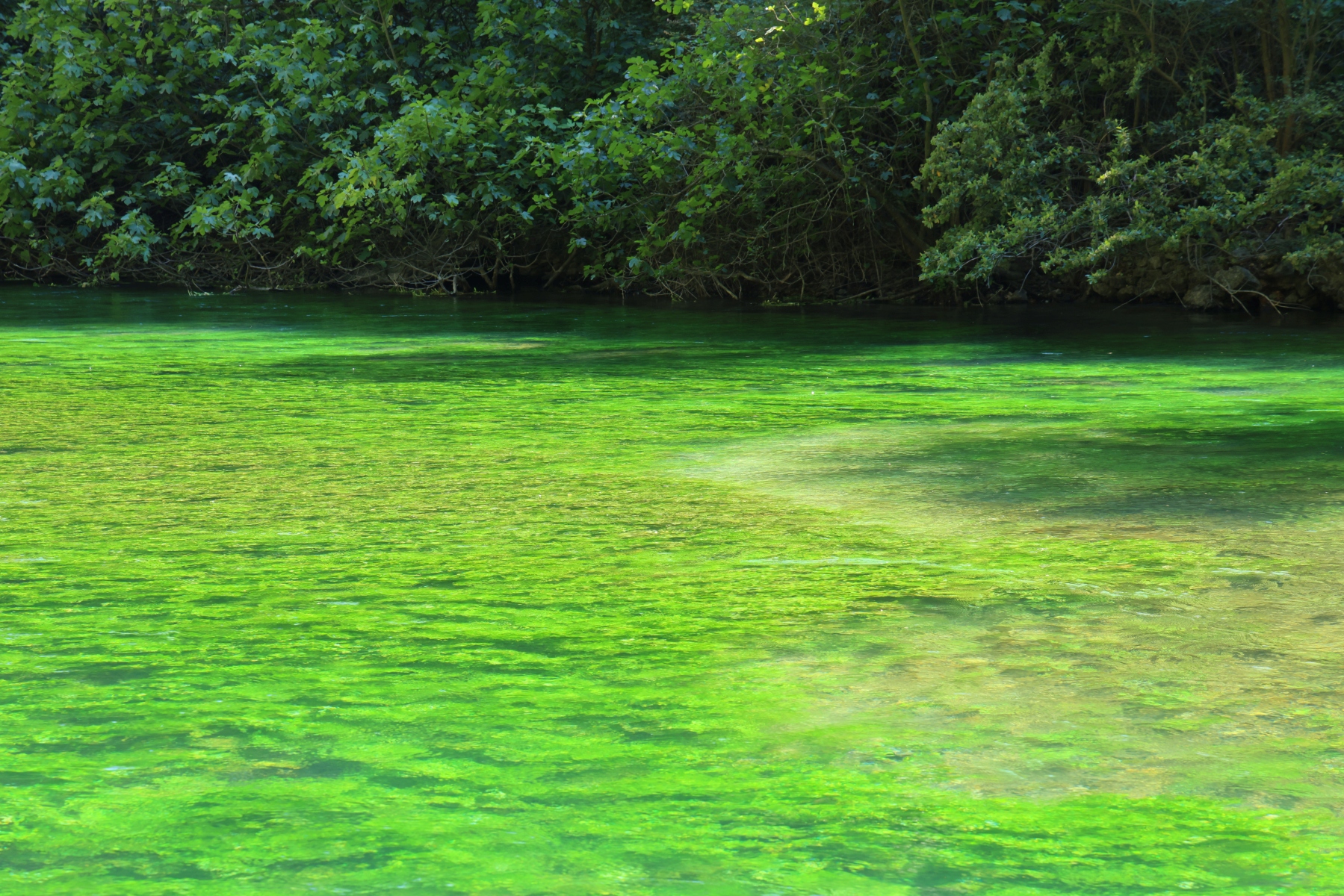 Fontaine de Vaucluse - La Sorgue river