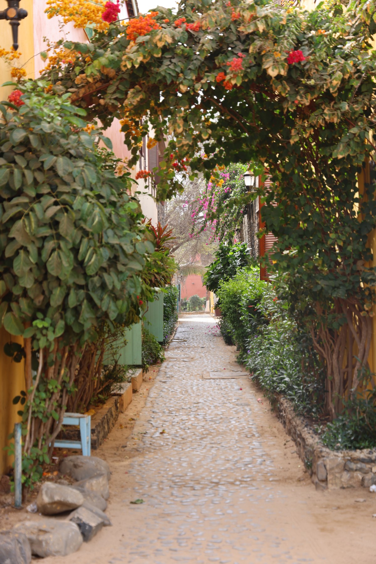 Gorée - Street