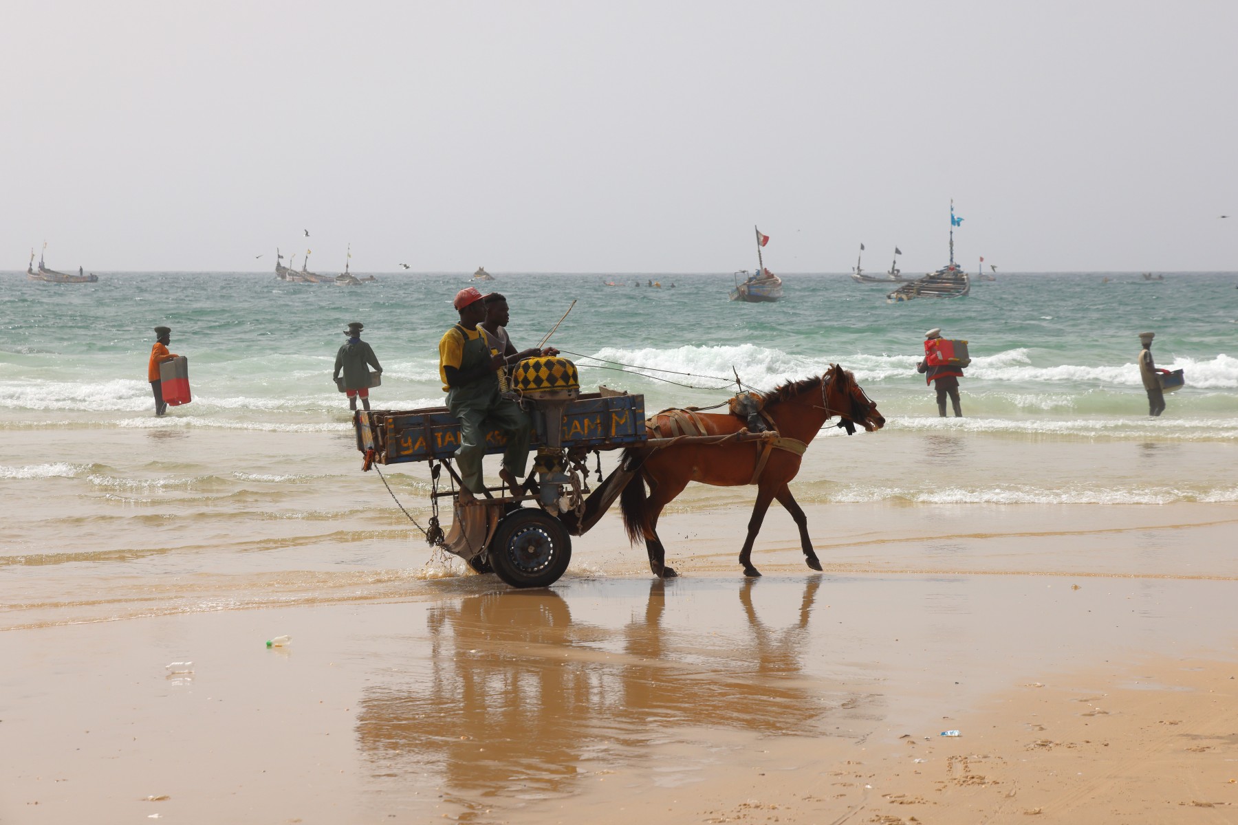 Kayar - Fishing village - Horse cart