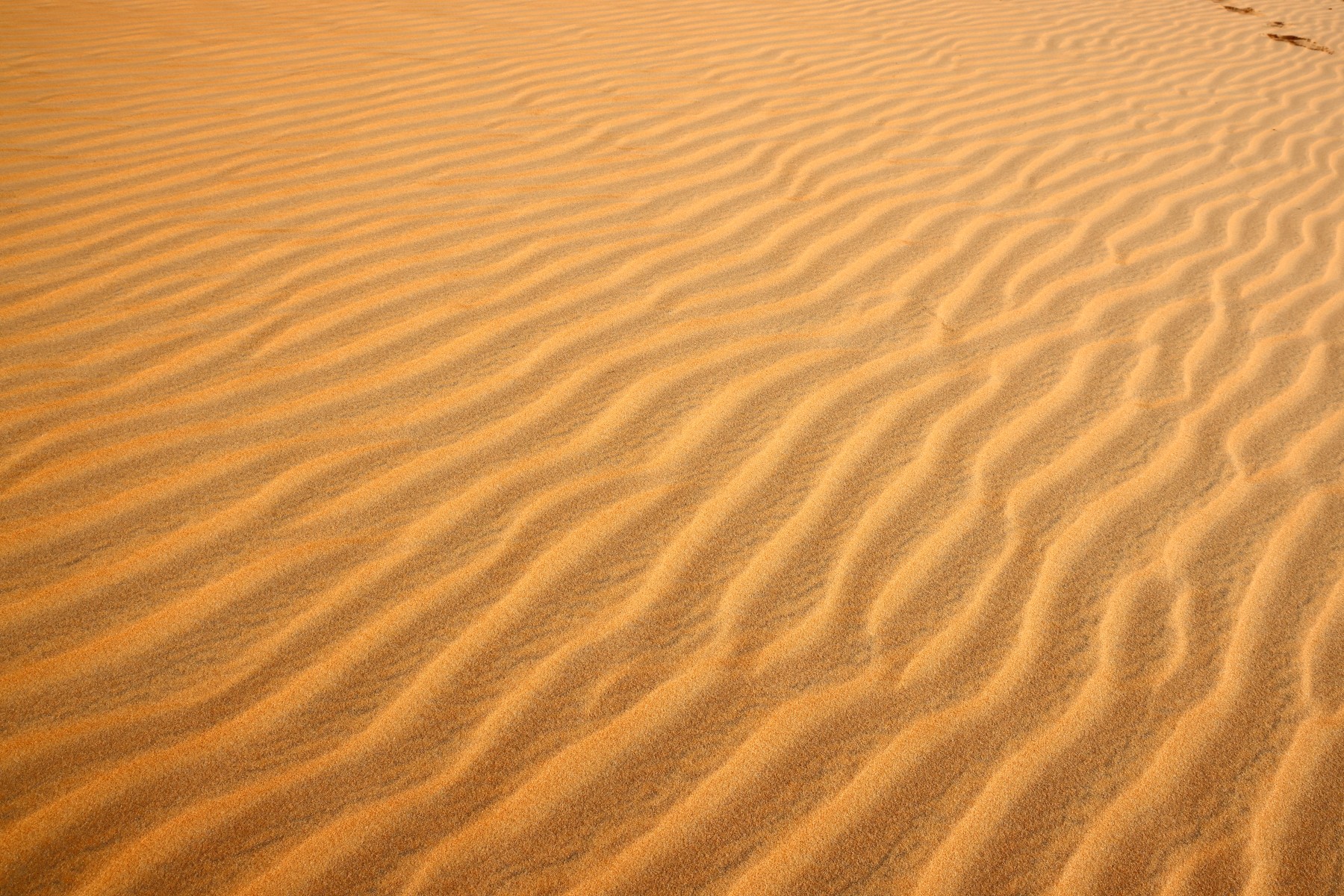 Ecolodge de Lompoul - Sand patterns