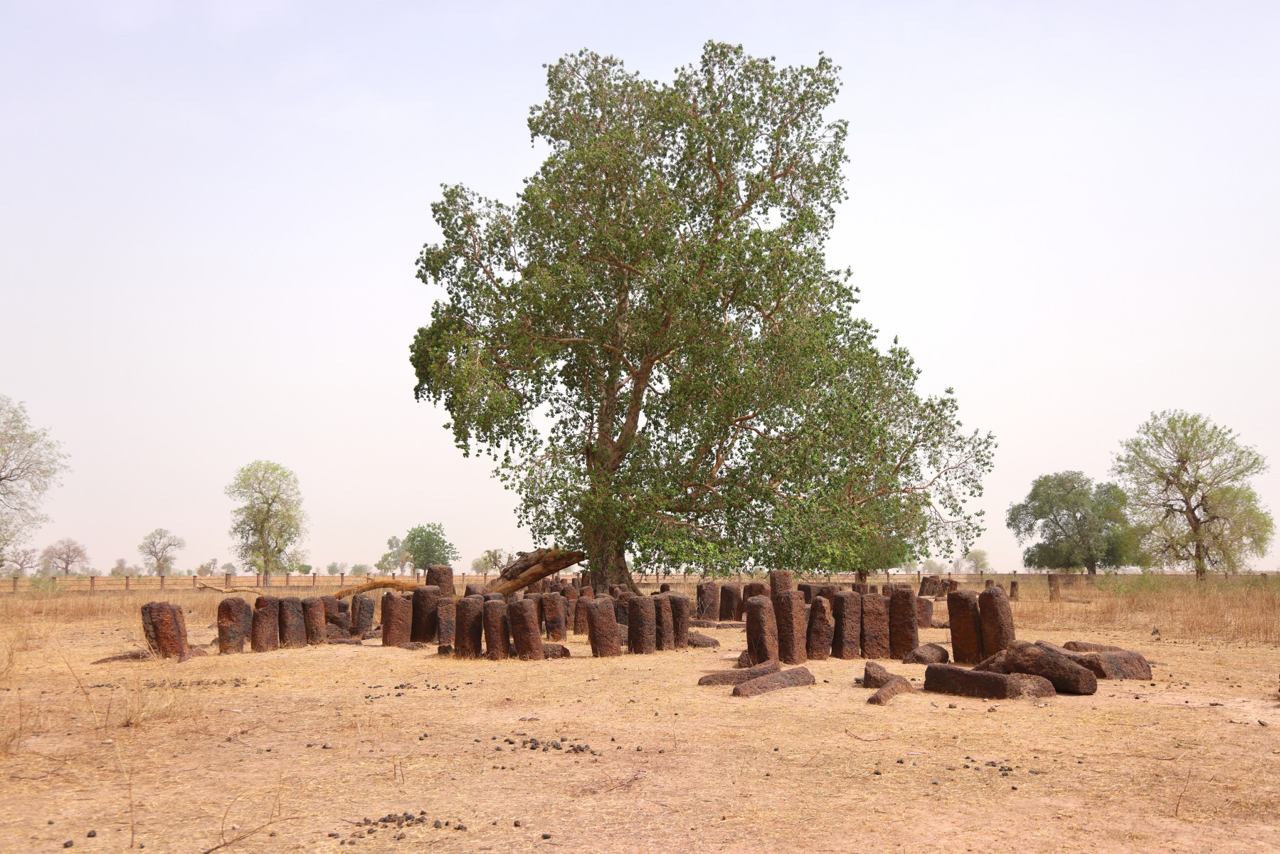 Sine Ngayene - Stone circles