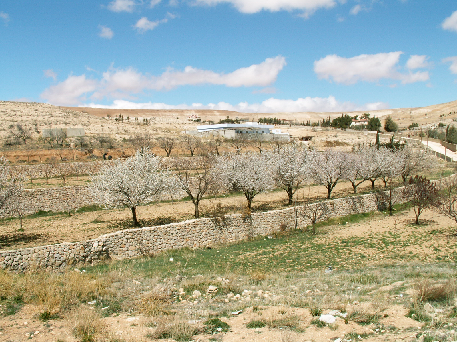 Maaloula