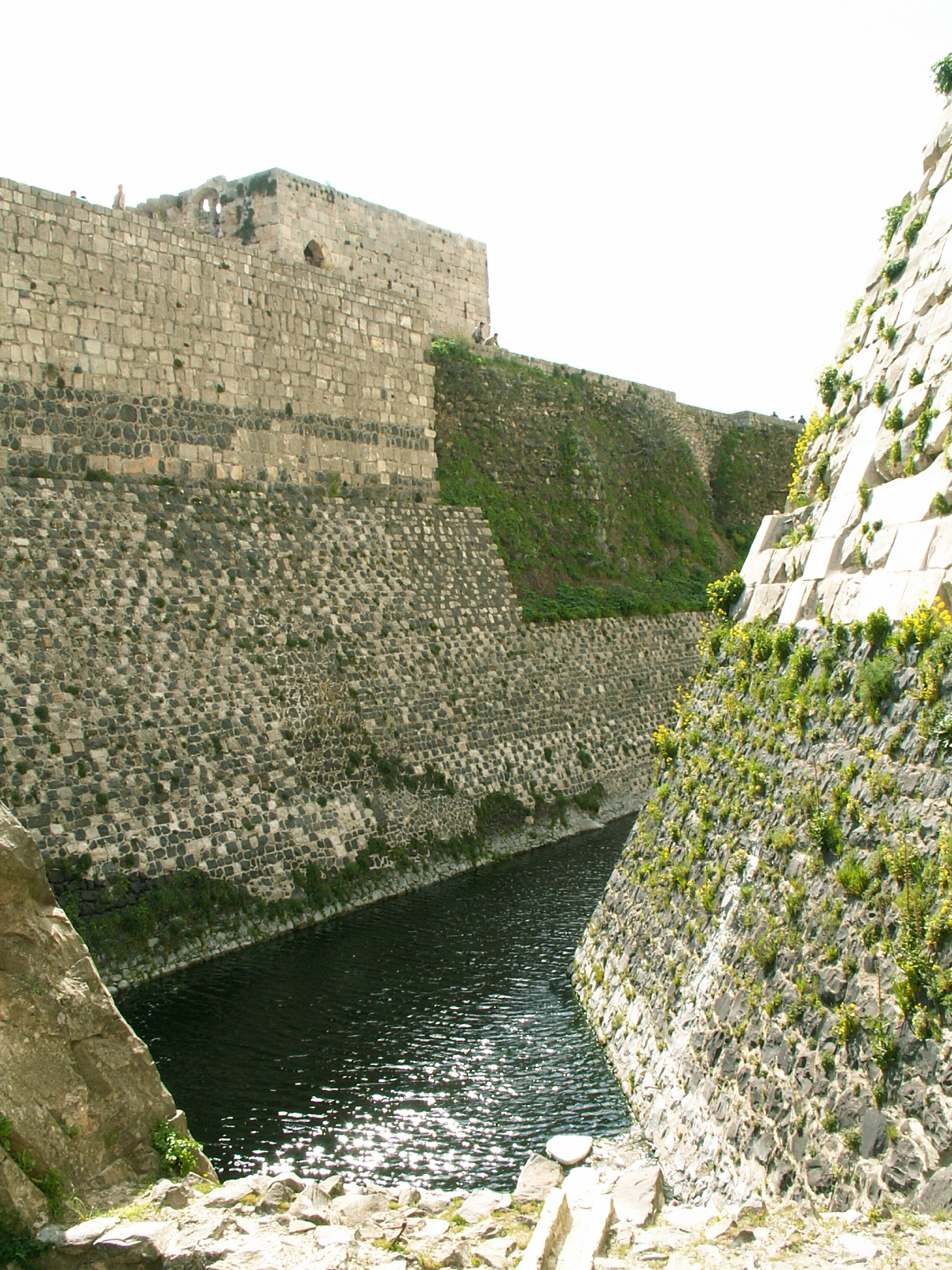 Near Homs - Krak Des Chevaliers