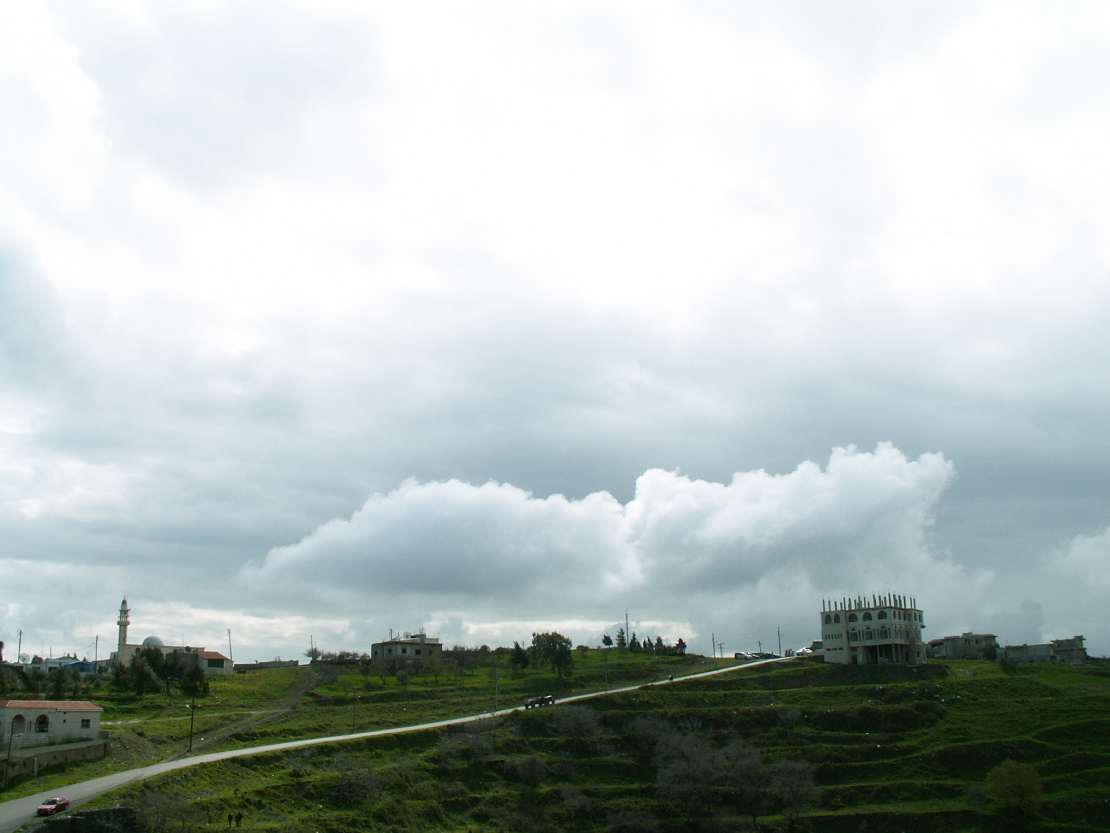 Near Homs - Around Krak Des Chevaliers