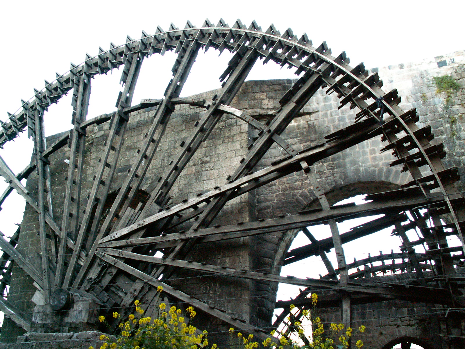 Hama - Noria (waterwheel) on the Orontes river