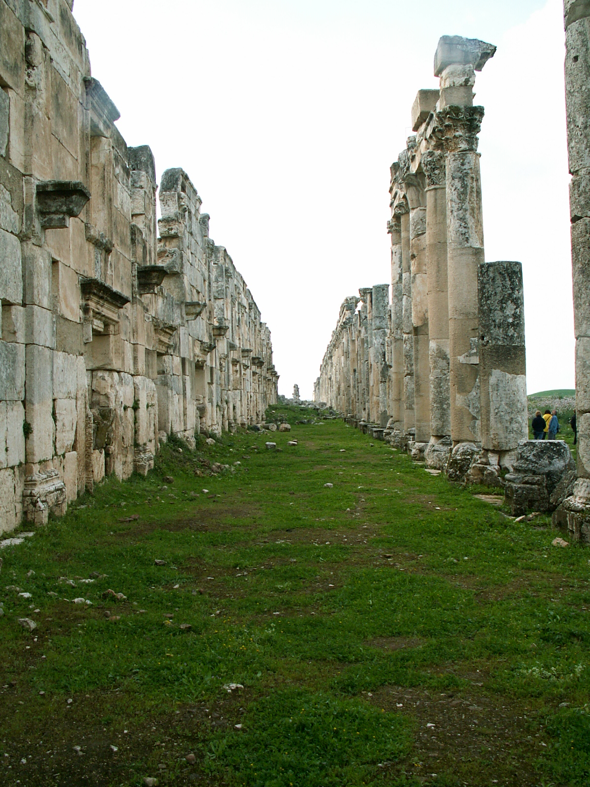Apamea