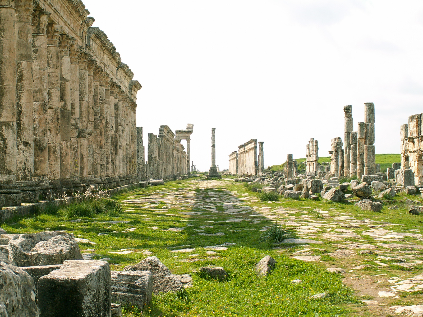 Apamea