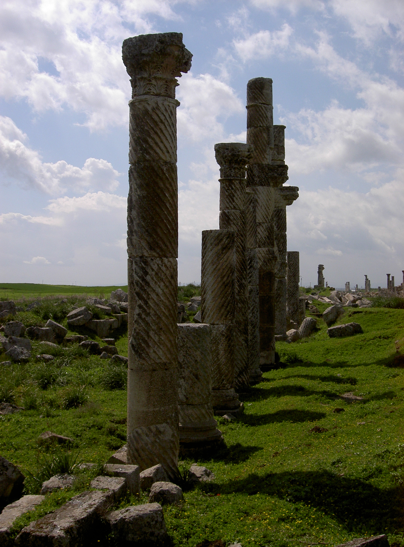 Apamea
