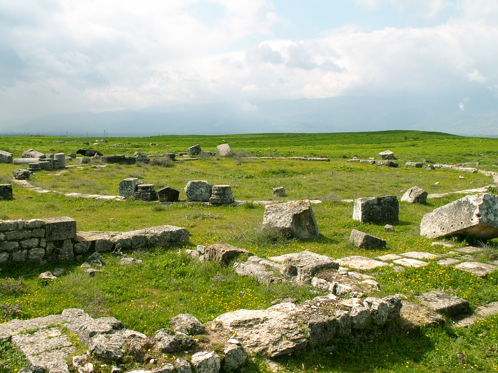Apamea