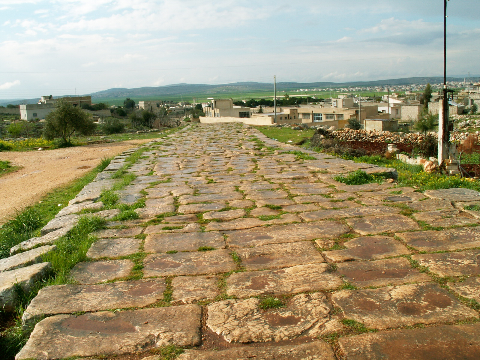 Near Aleppo - Romad road