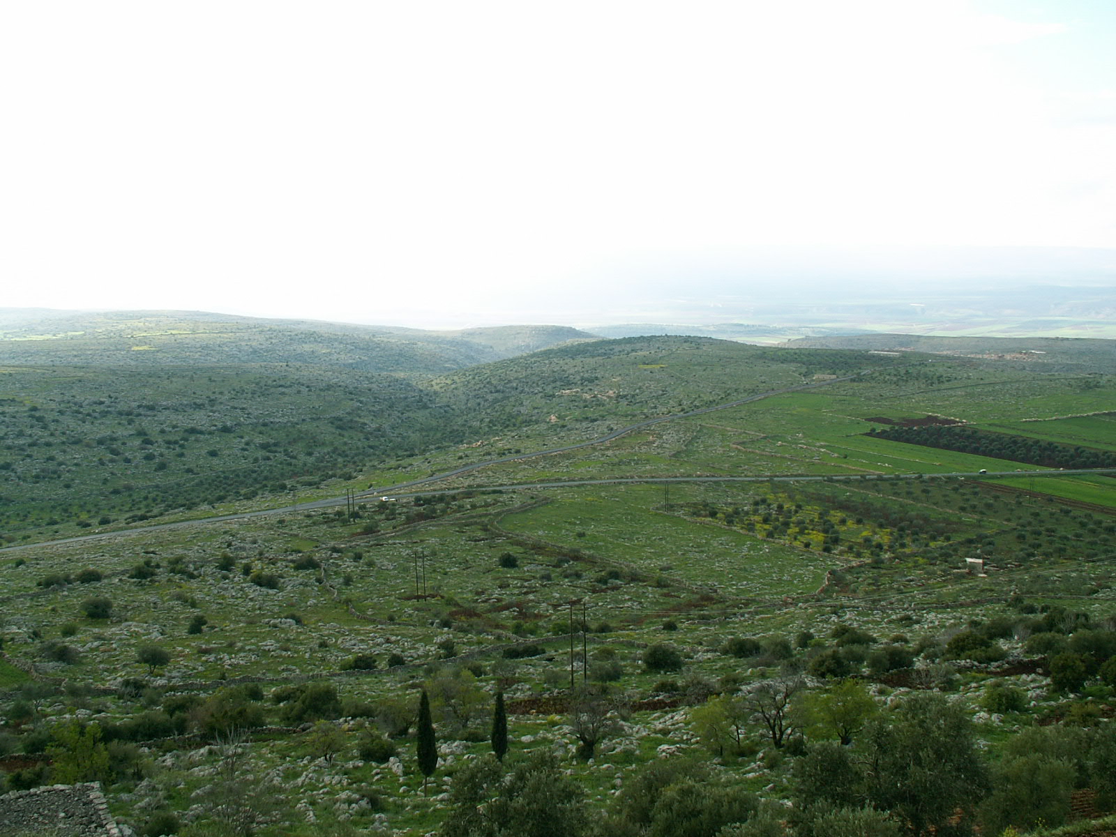 Qal'at Samaan