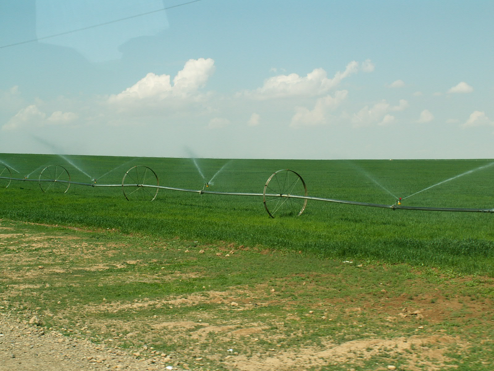 Near Madinat Ath Thawrah - Irrigation