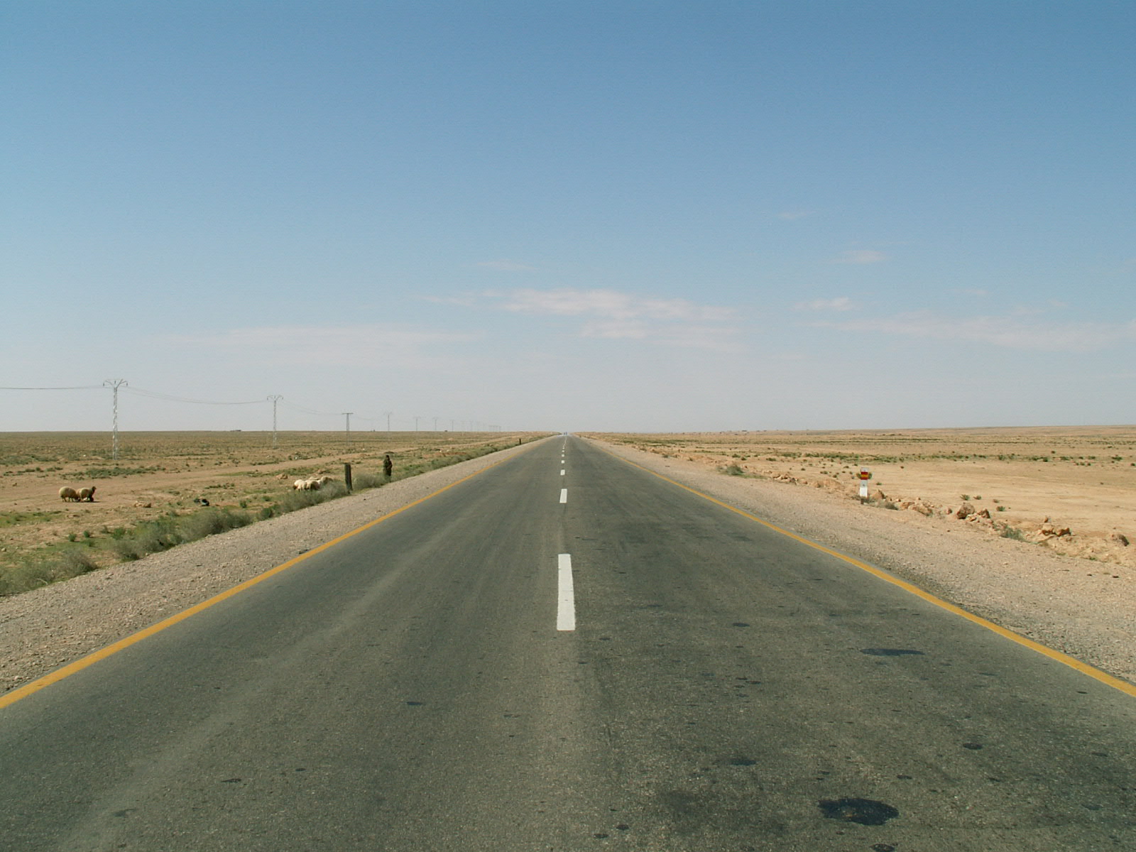 Near Deir ez Zor - Desert