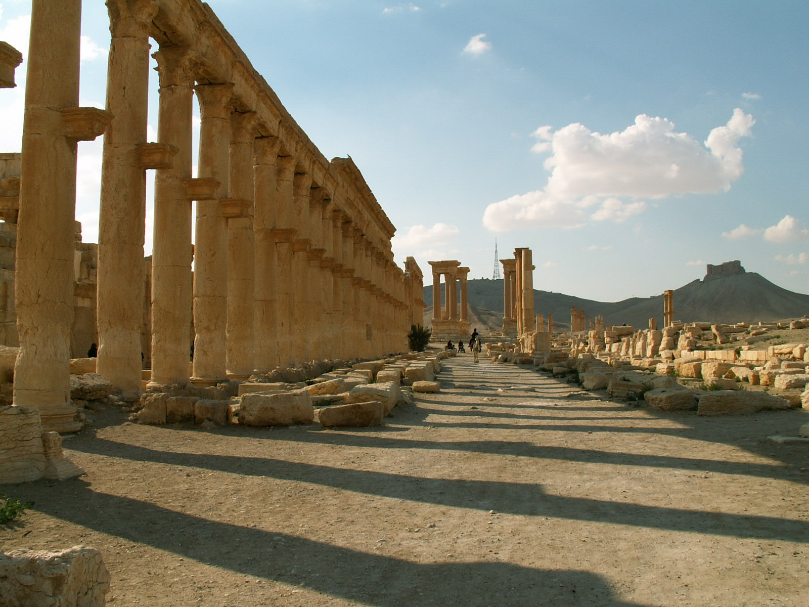 Palmyra