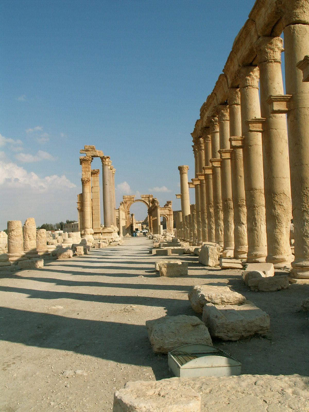Palmyra