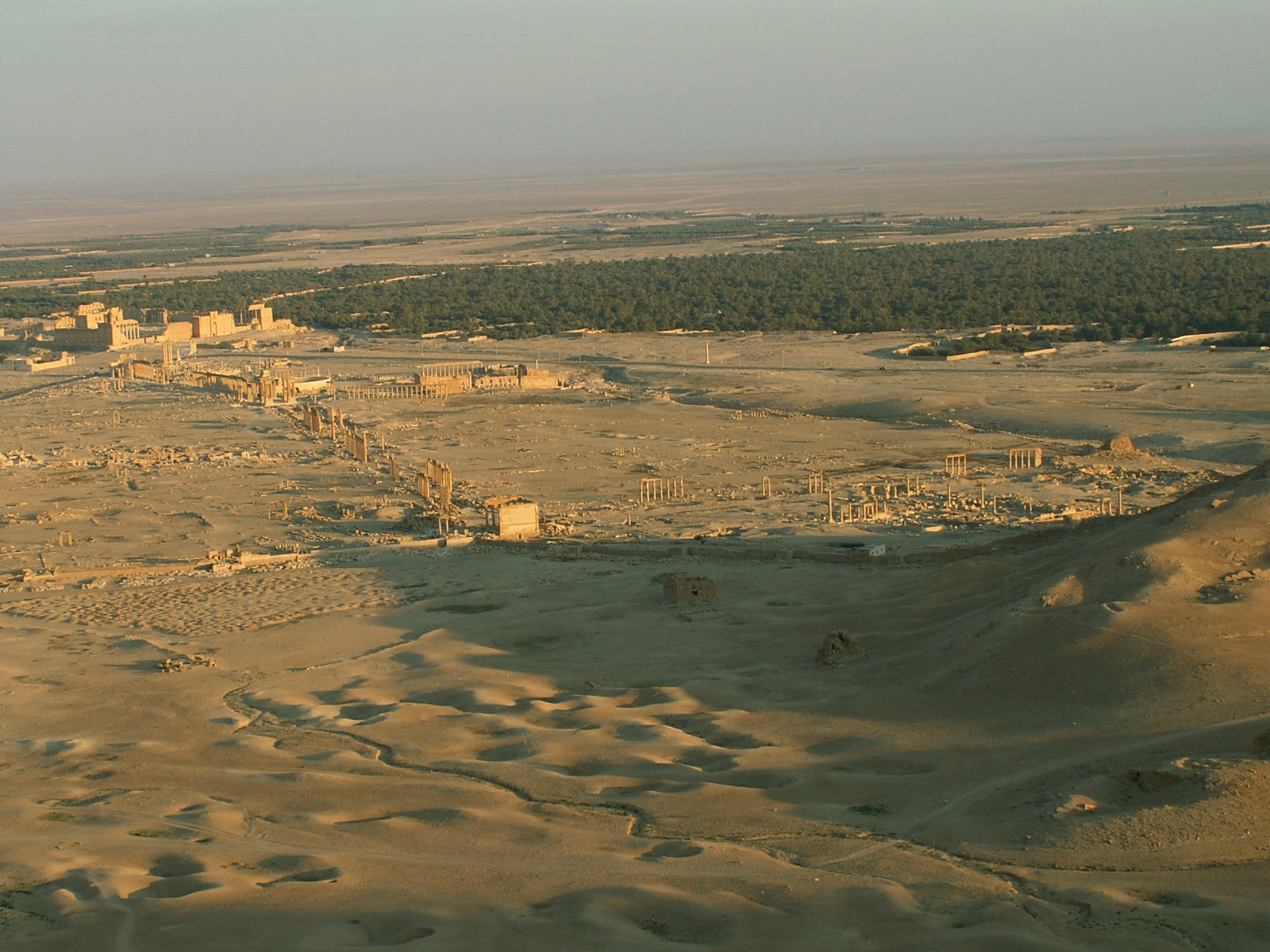 Palmyra