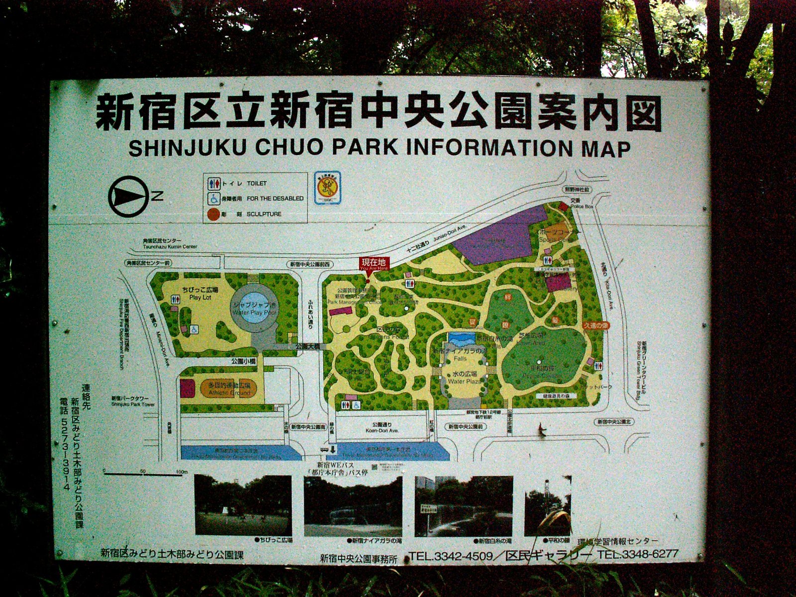 Shinjuku park