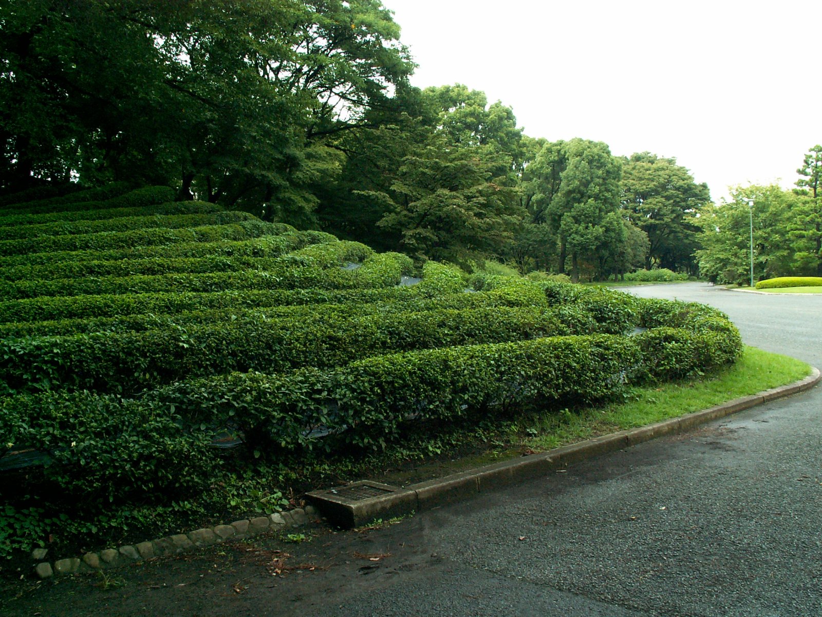 Chiyoda Ward - Imperial Palace - East gardens