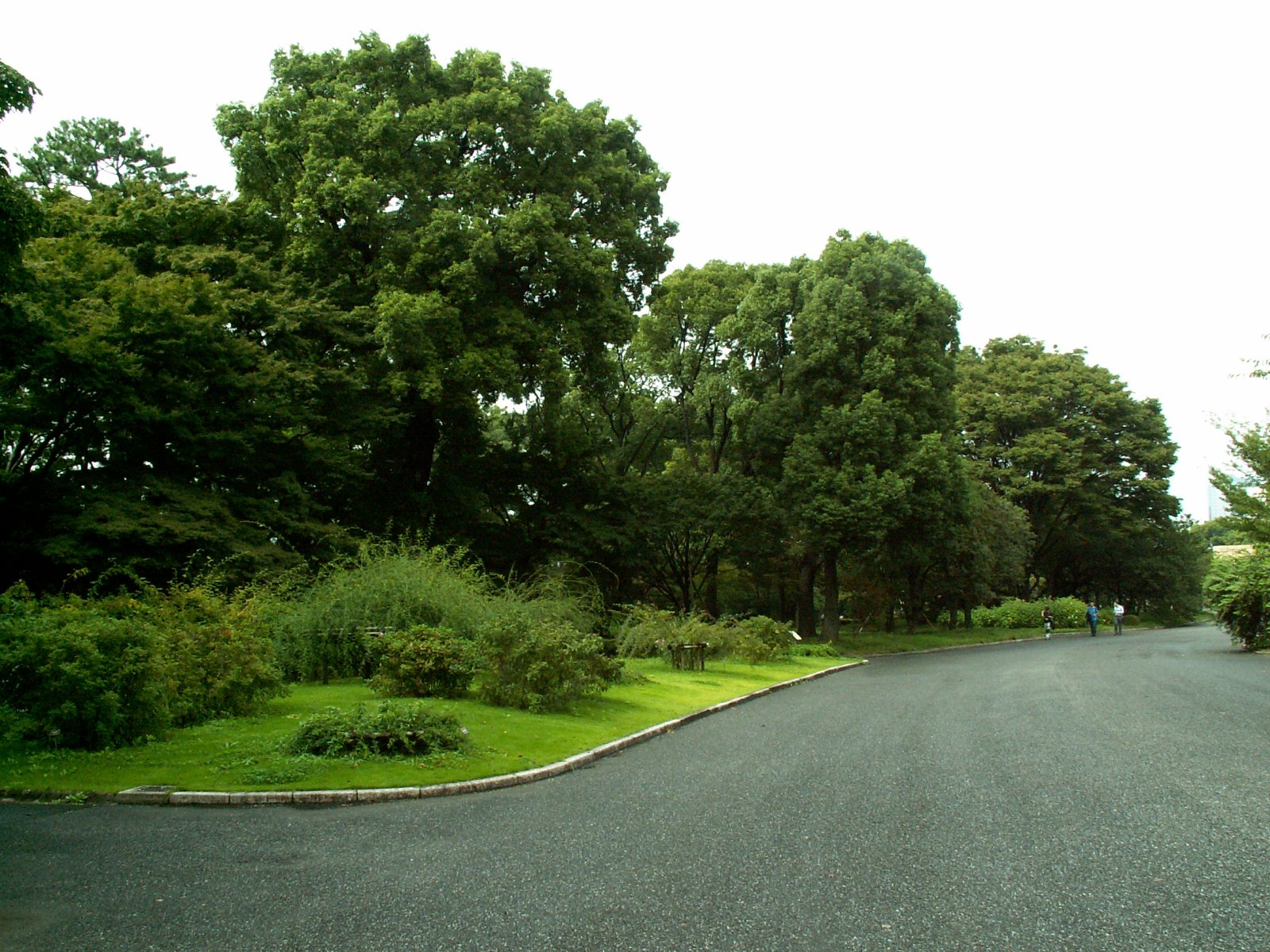 Chiyoda Ward - Imperial Palace - East gardens