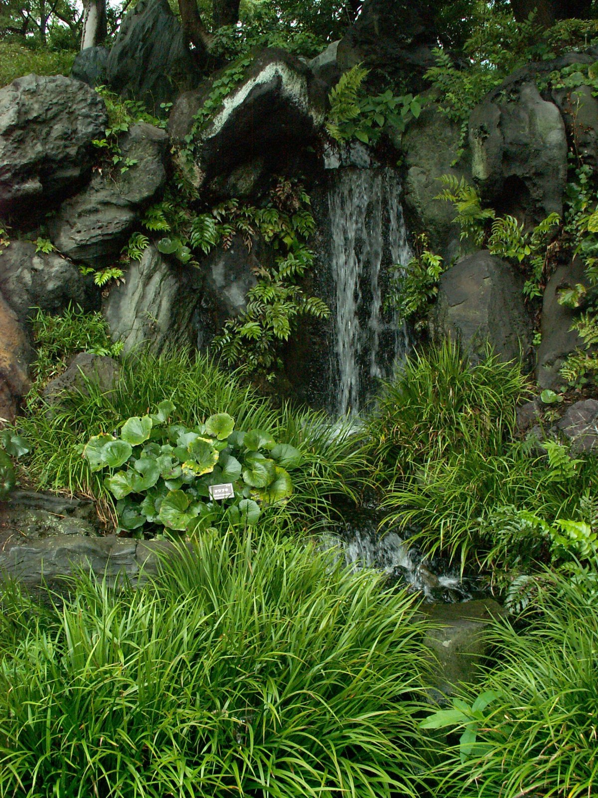 Chiyoda Ward - Imperial Palace - East gardens