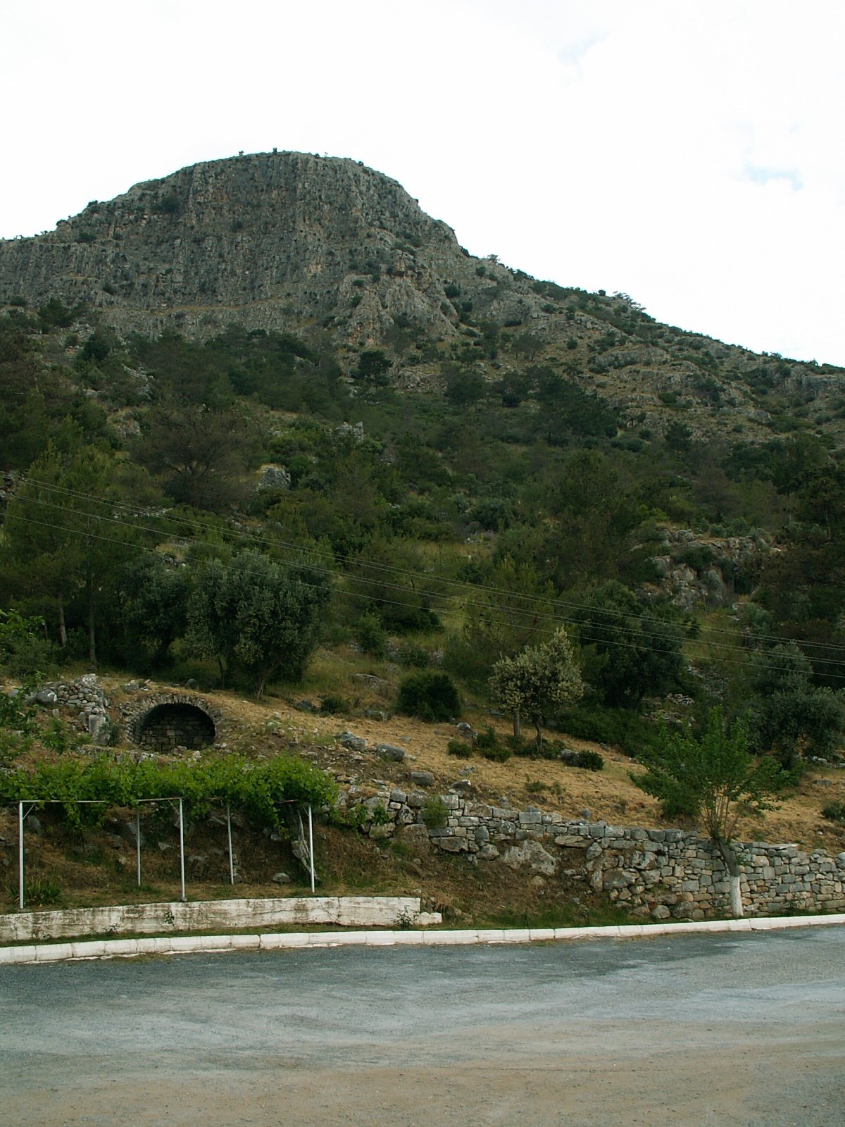 Priene