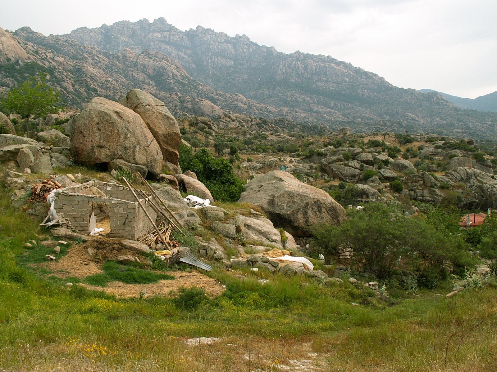 Near Milas