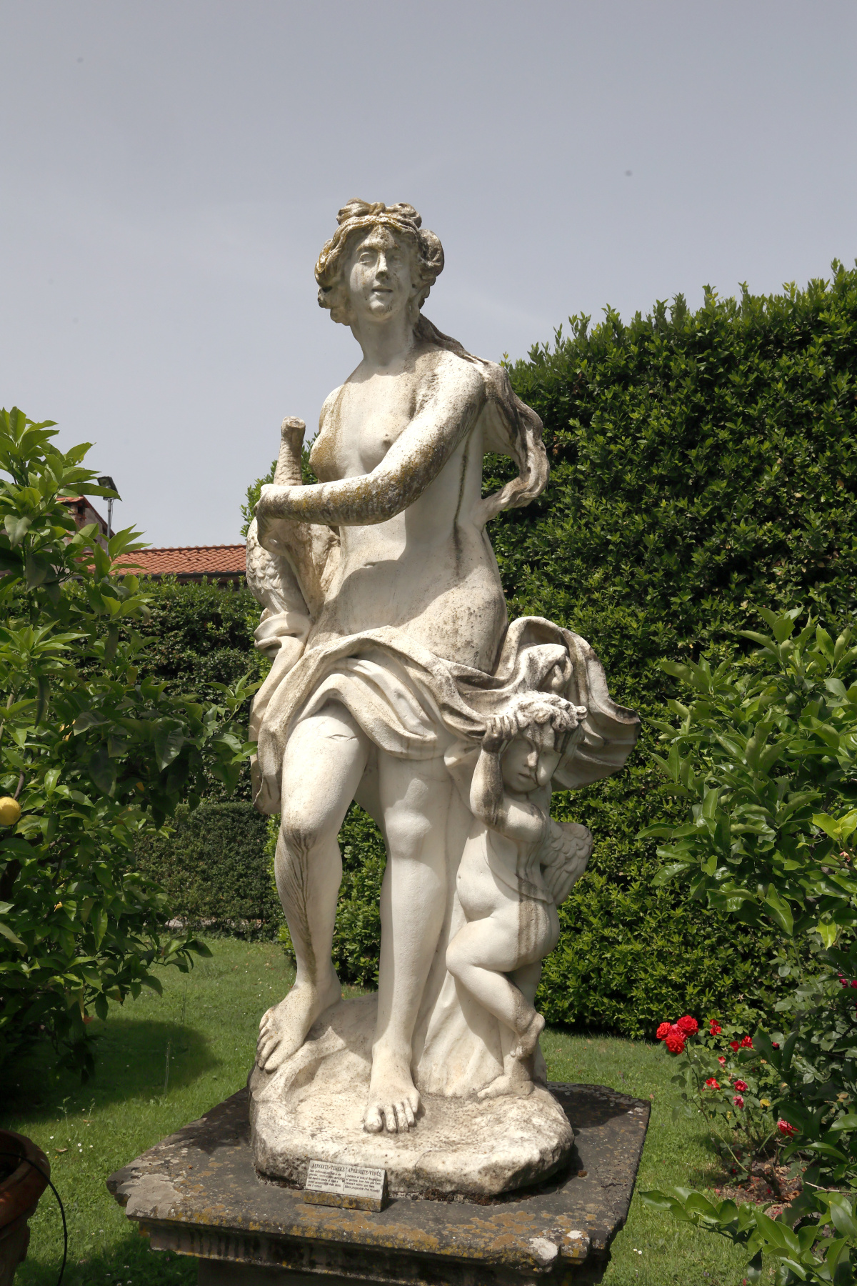 Lucca - Giardini di palazzo Pfanner - Venus statue