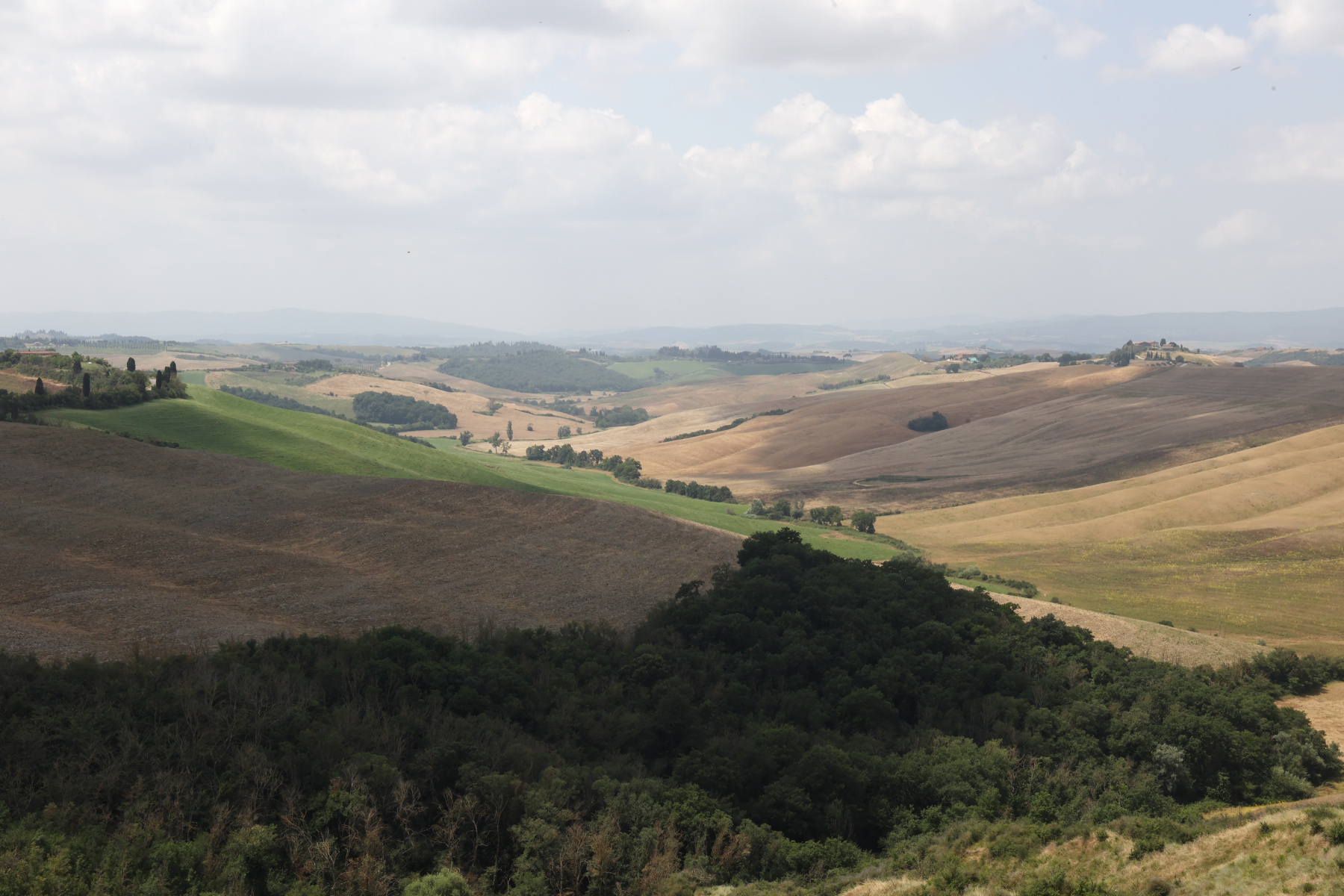 Near Pievina