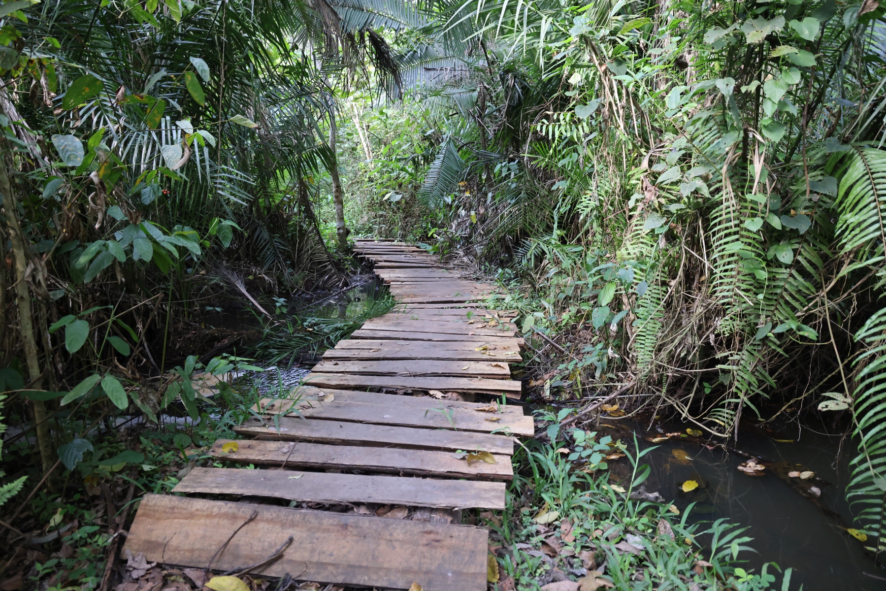 Uganda - Kibale National Park