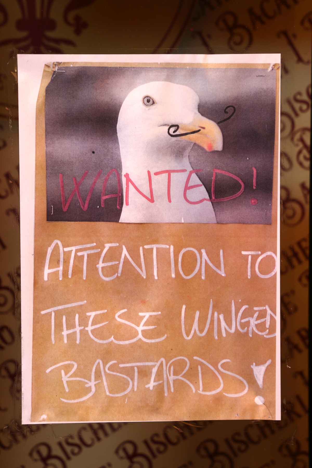 Seagull poster