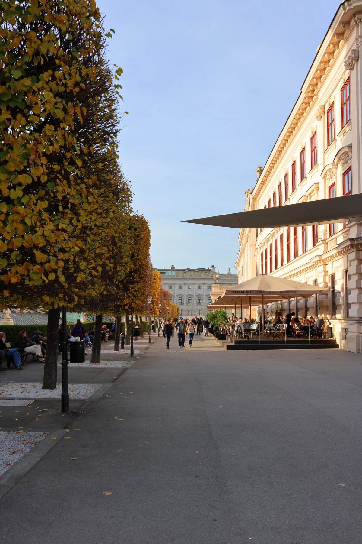 Albertina - Trees