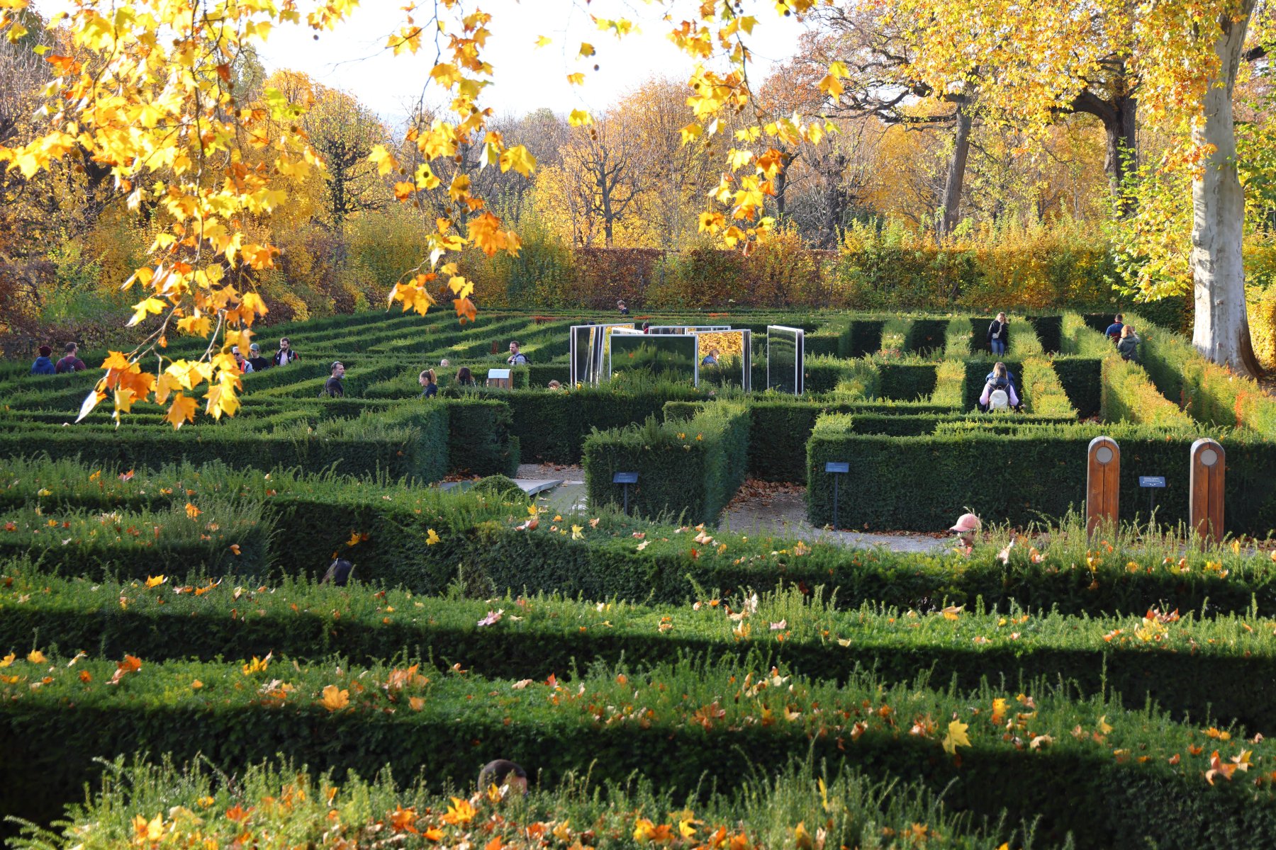 Schönbrunn - Maze