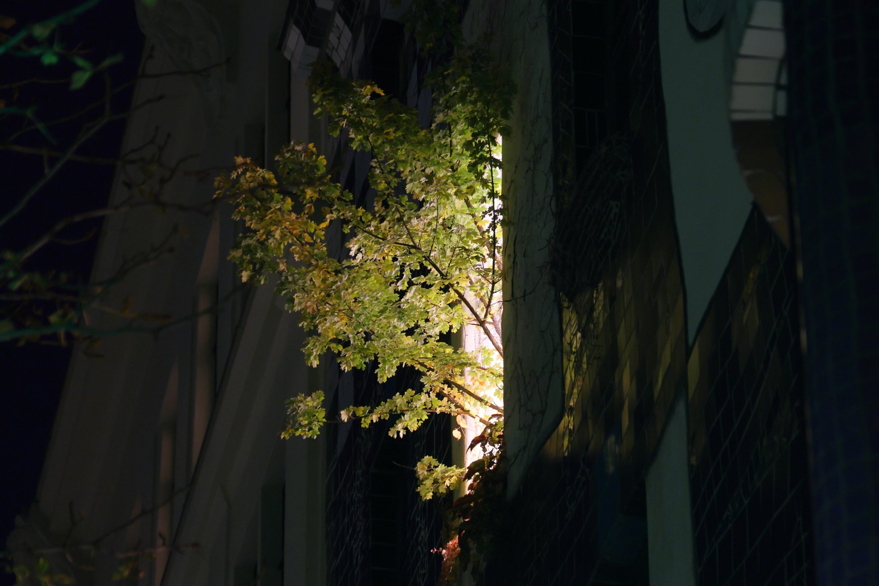 Hundertwasserhaus - Tree