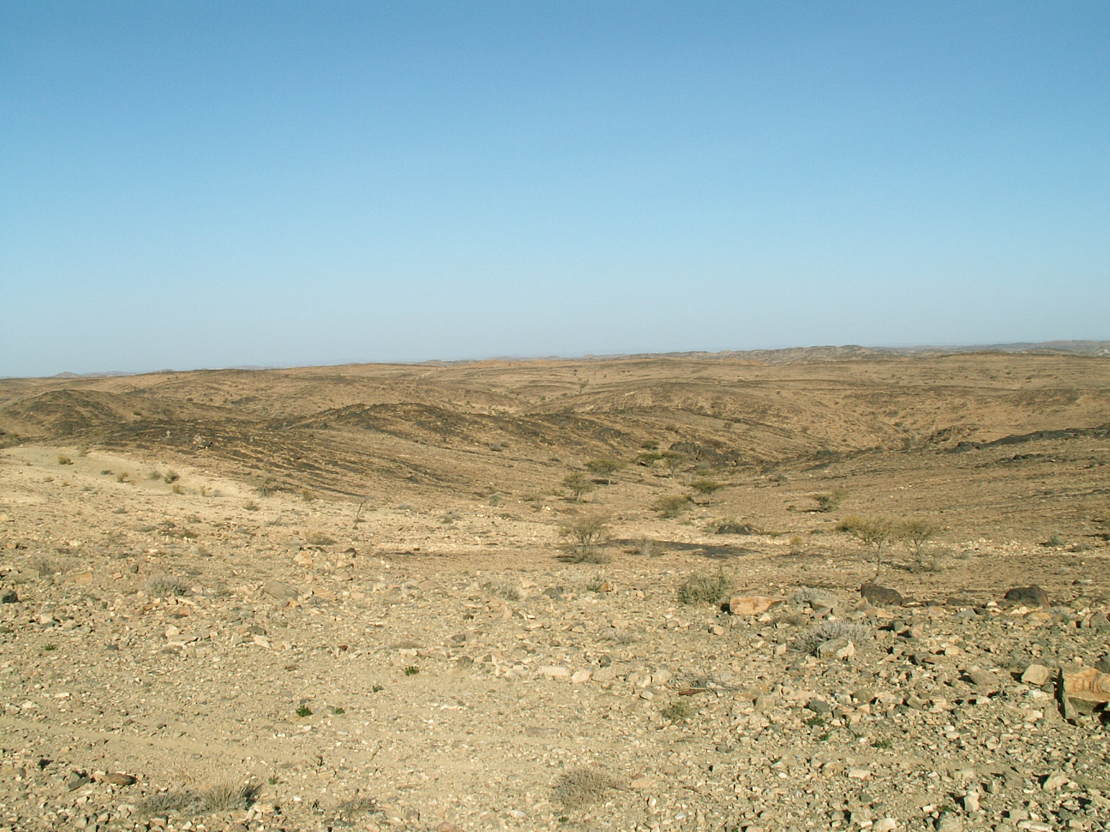 Near Rida'