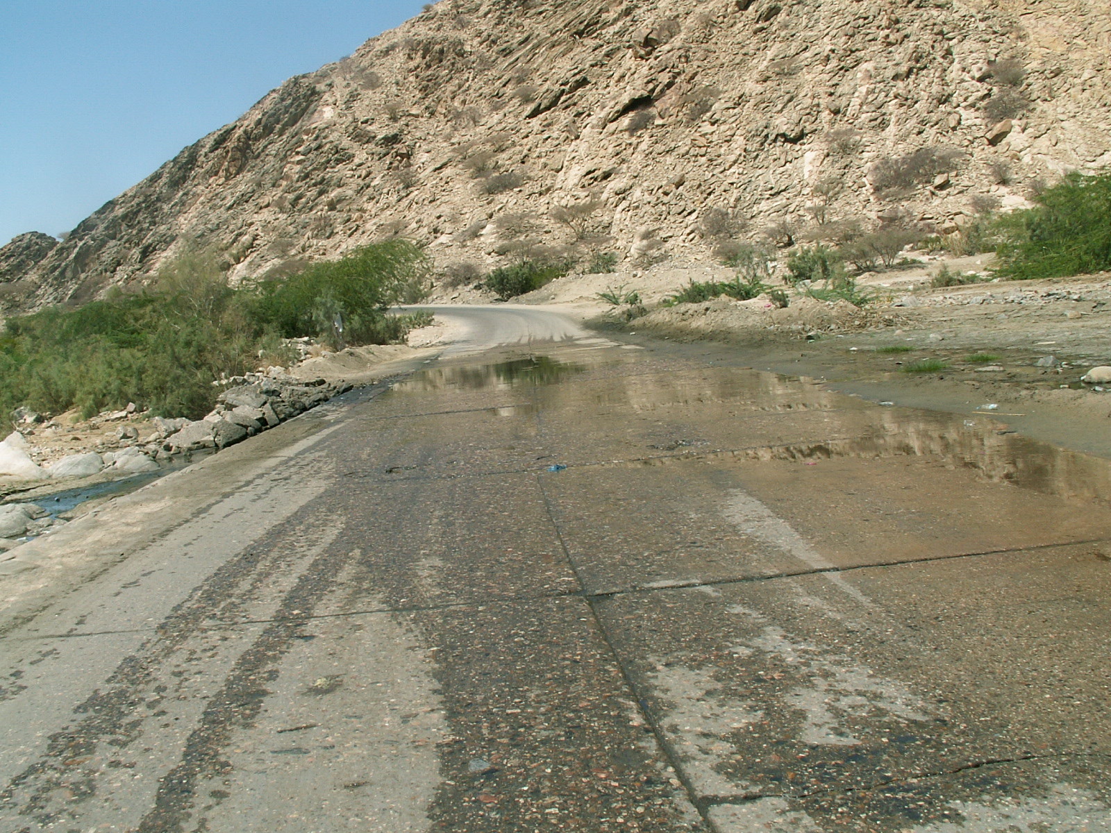 Near Al Mahfid