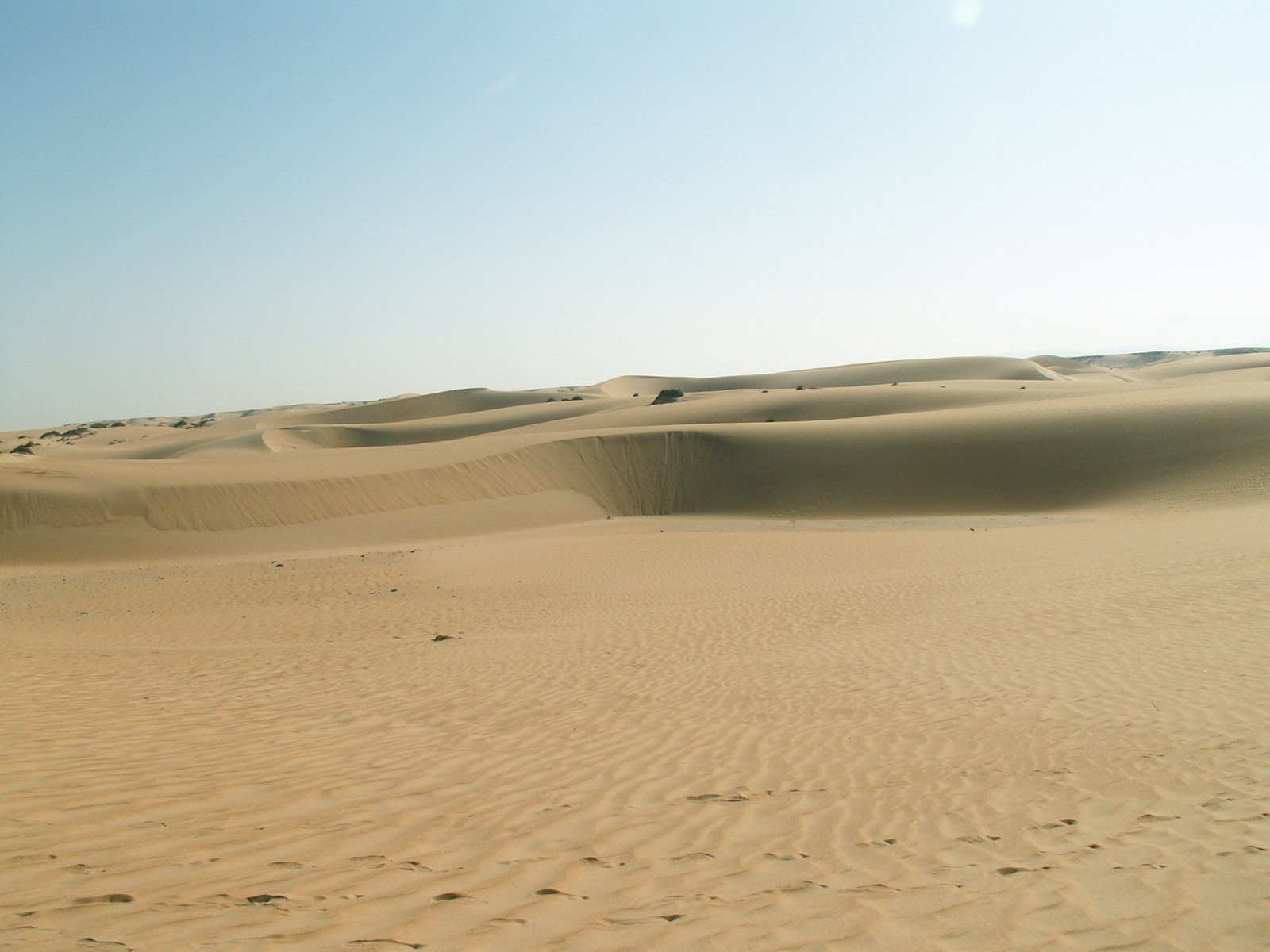 Near Indian Ocean - Desert