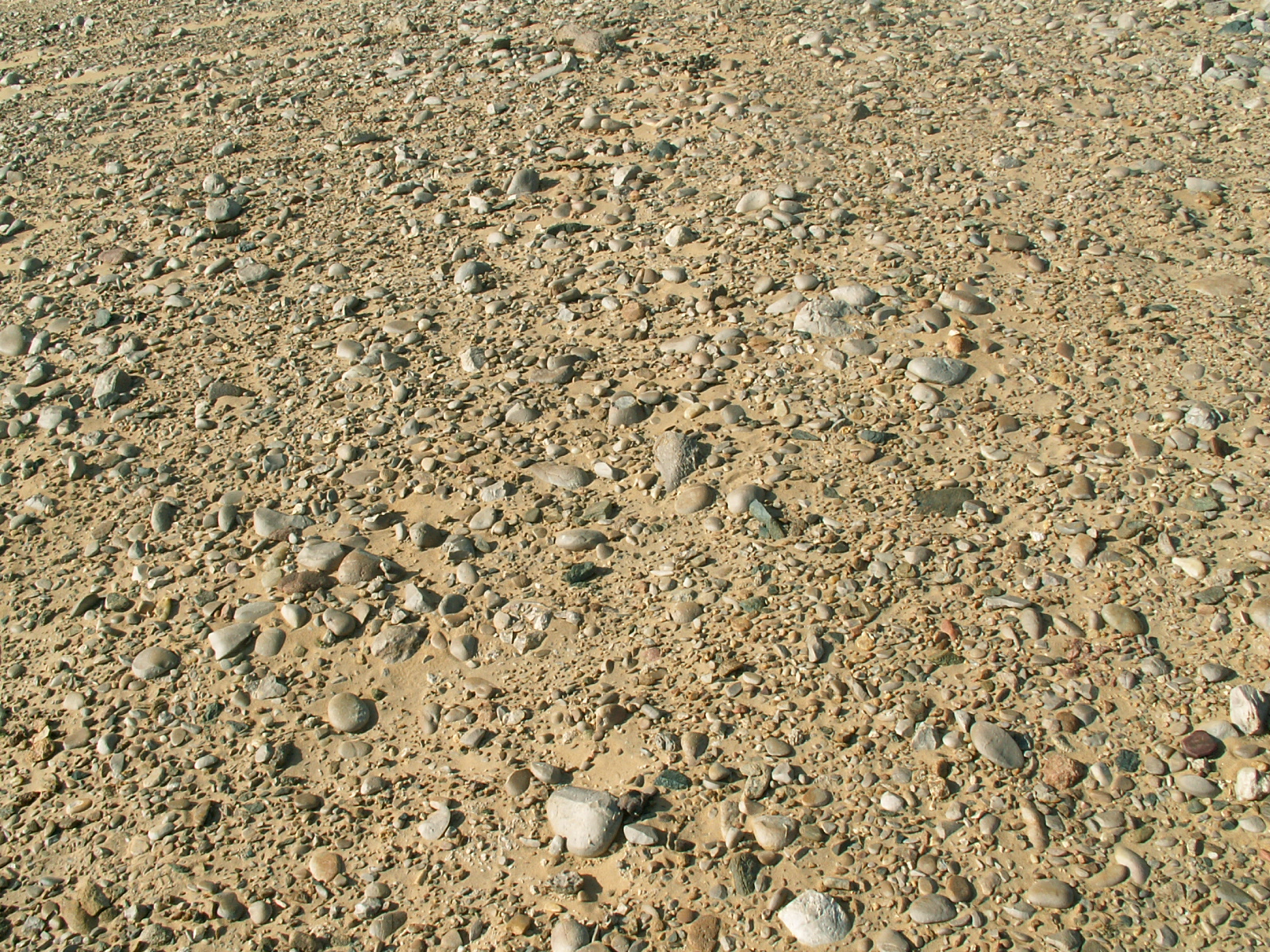 Near Indian Ocean - Desert