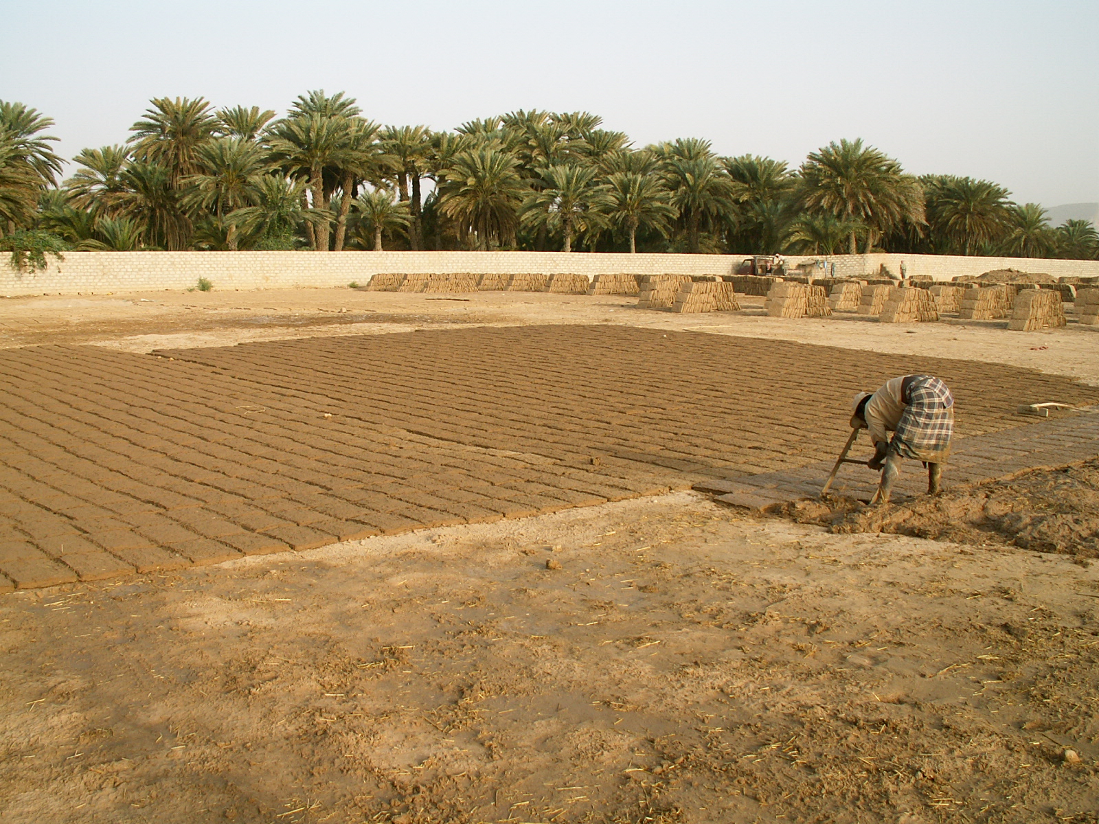Near Saywun - Making mud bricks